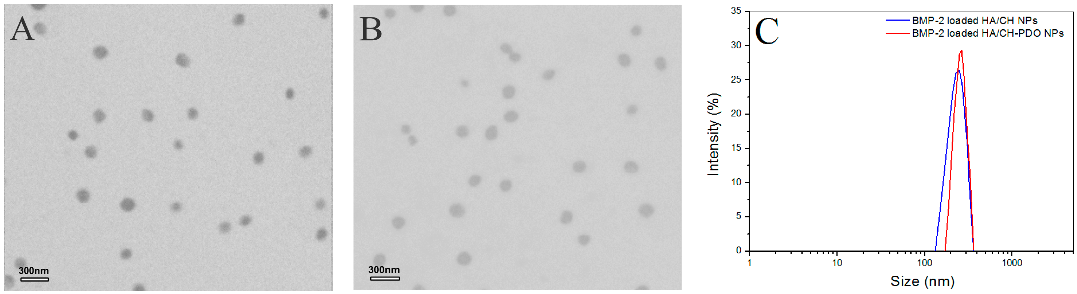 Pharmaceutics 11 00214 g002 Pharmaceutics 11 00214 g002