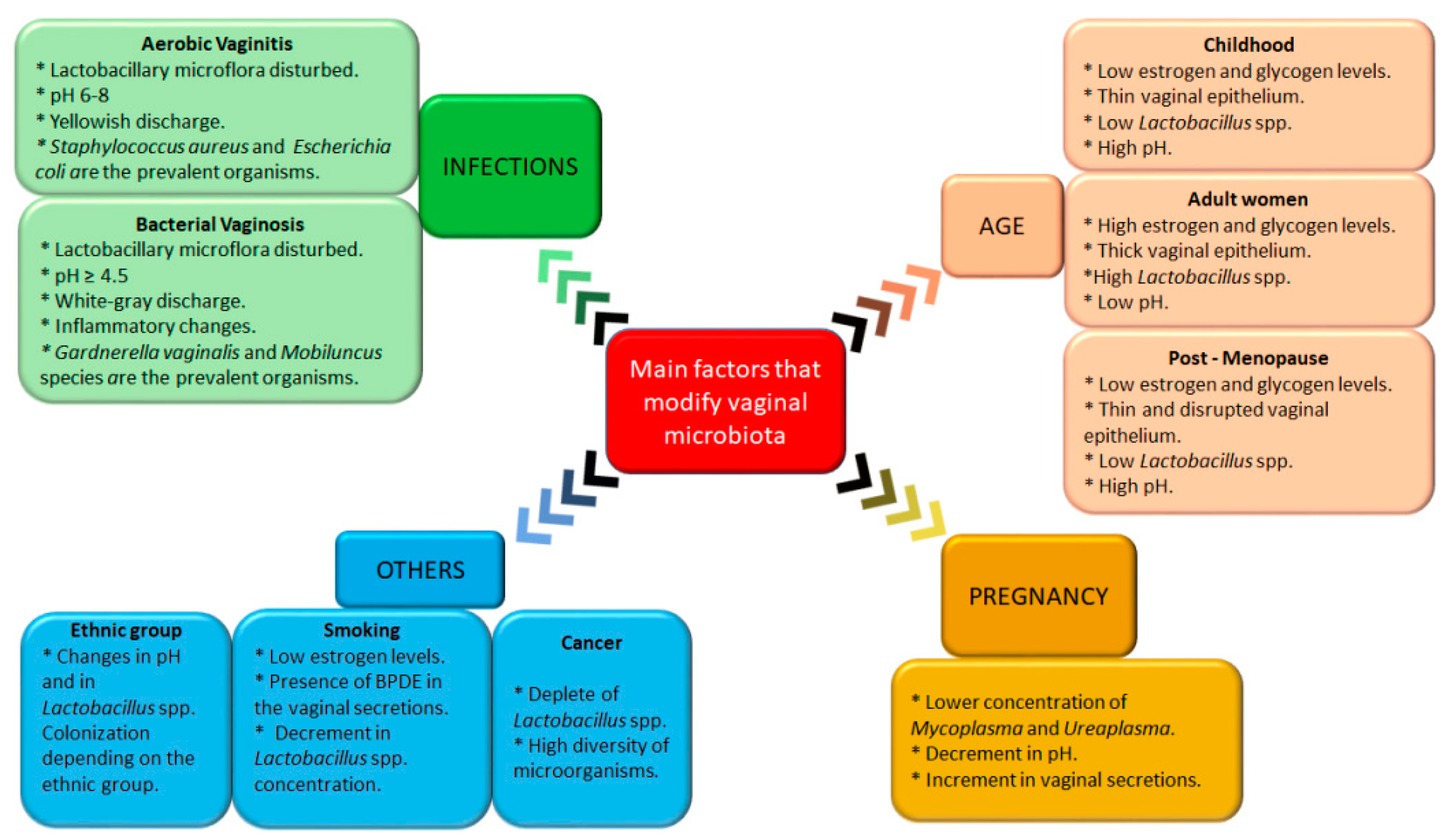 Pharmaceutics 11 00217 g002