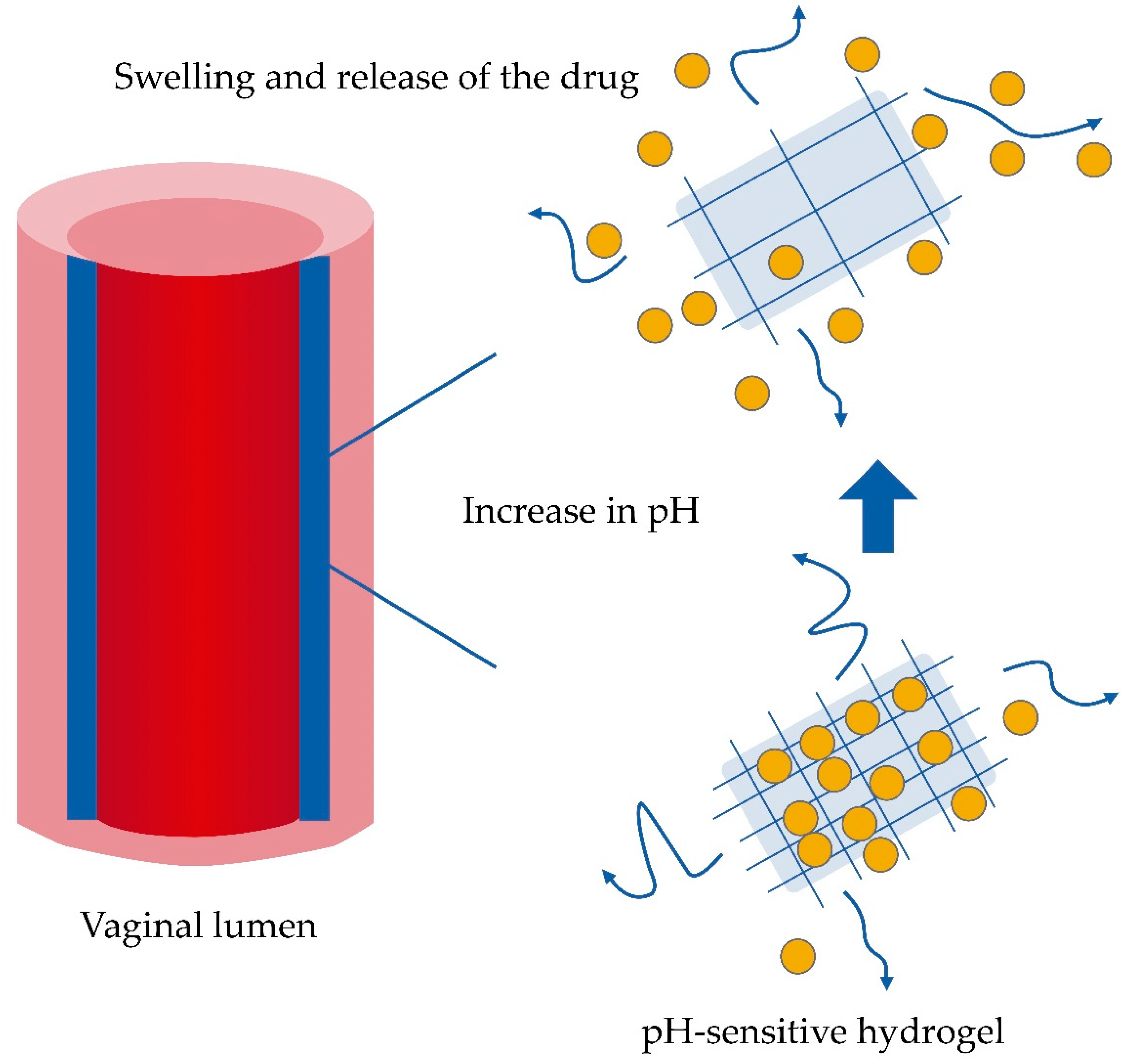 Pharmaceutics 11 00217 g003