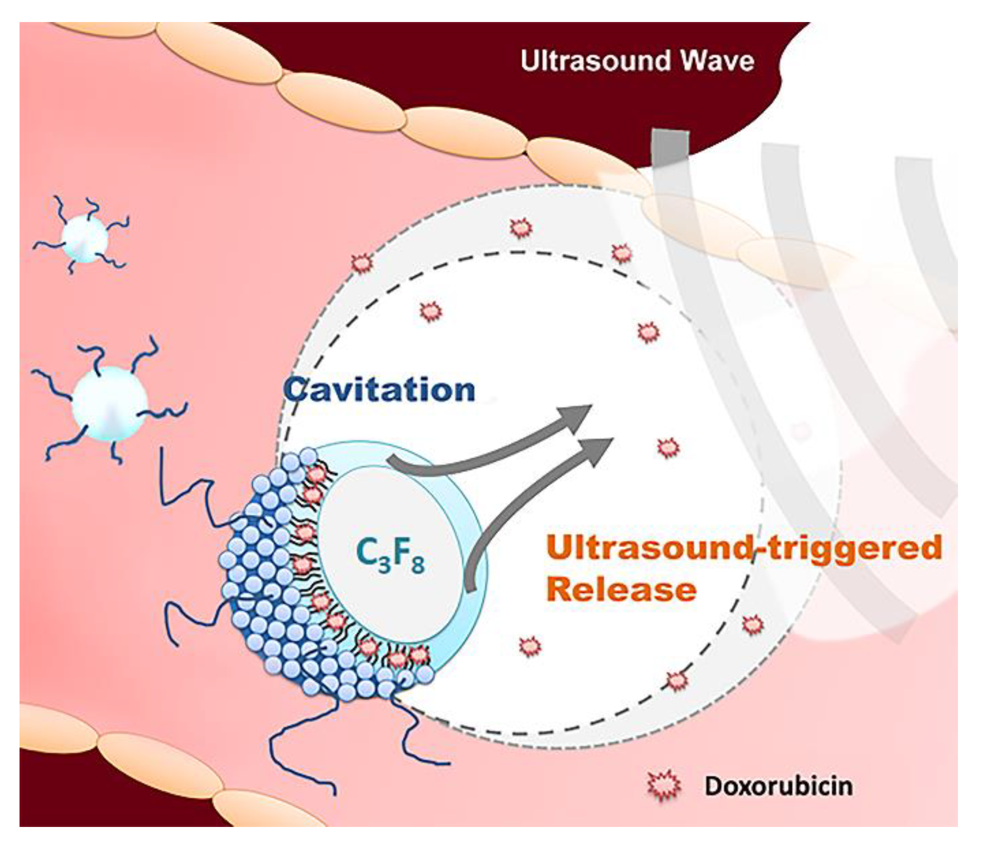 Pharmaceutics 11 00223 g001 Pharmaceutics 11 00223 g001