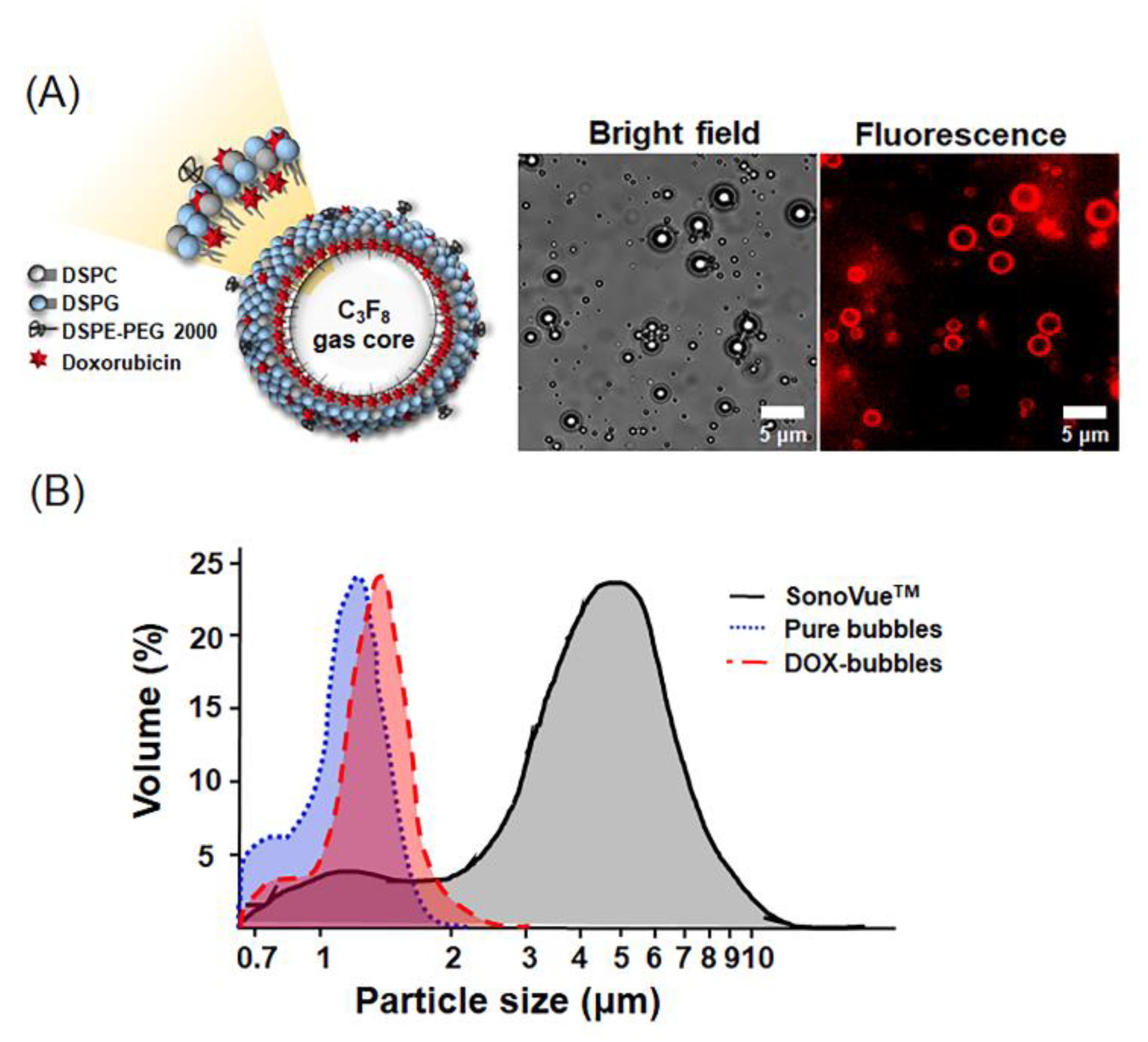 Pharmaceutics 11 00223 g003 Pharmaceutics 11 00223 g003