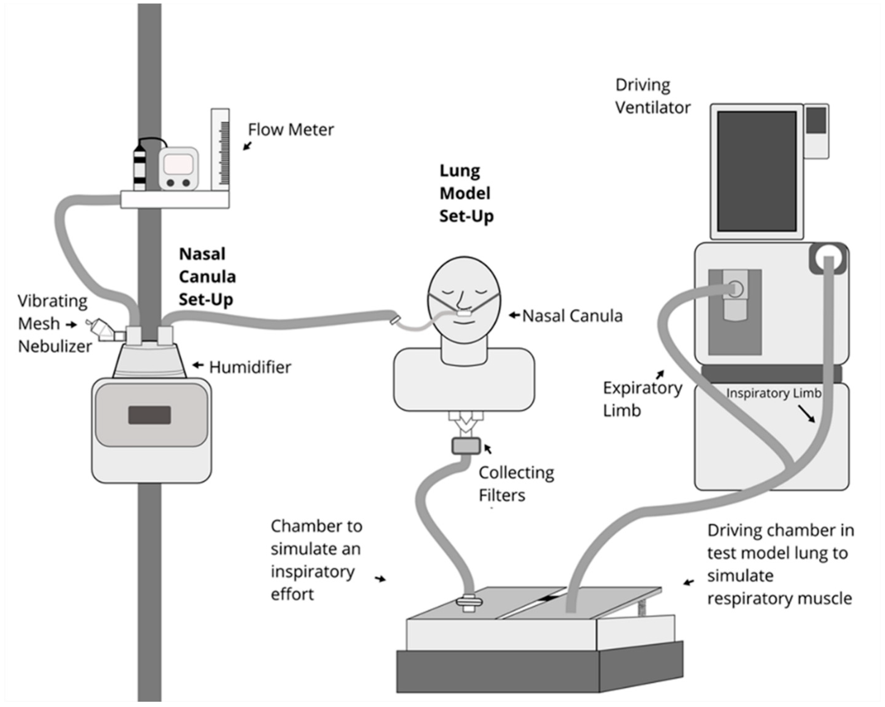 Pharmaceutics 11 00225 g001