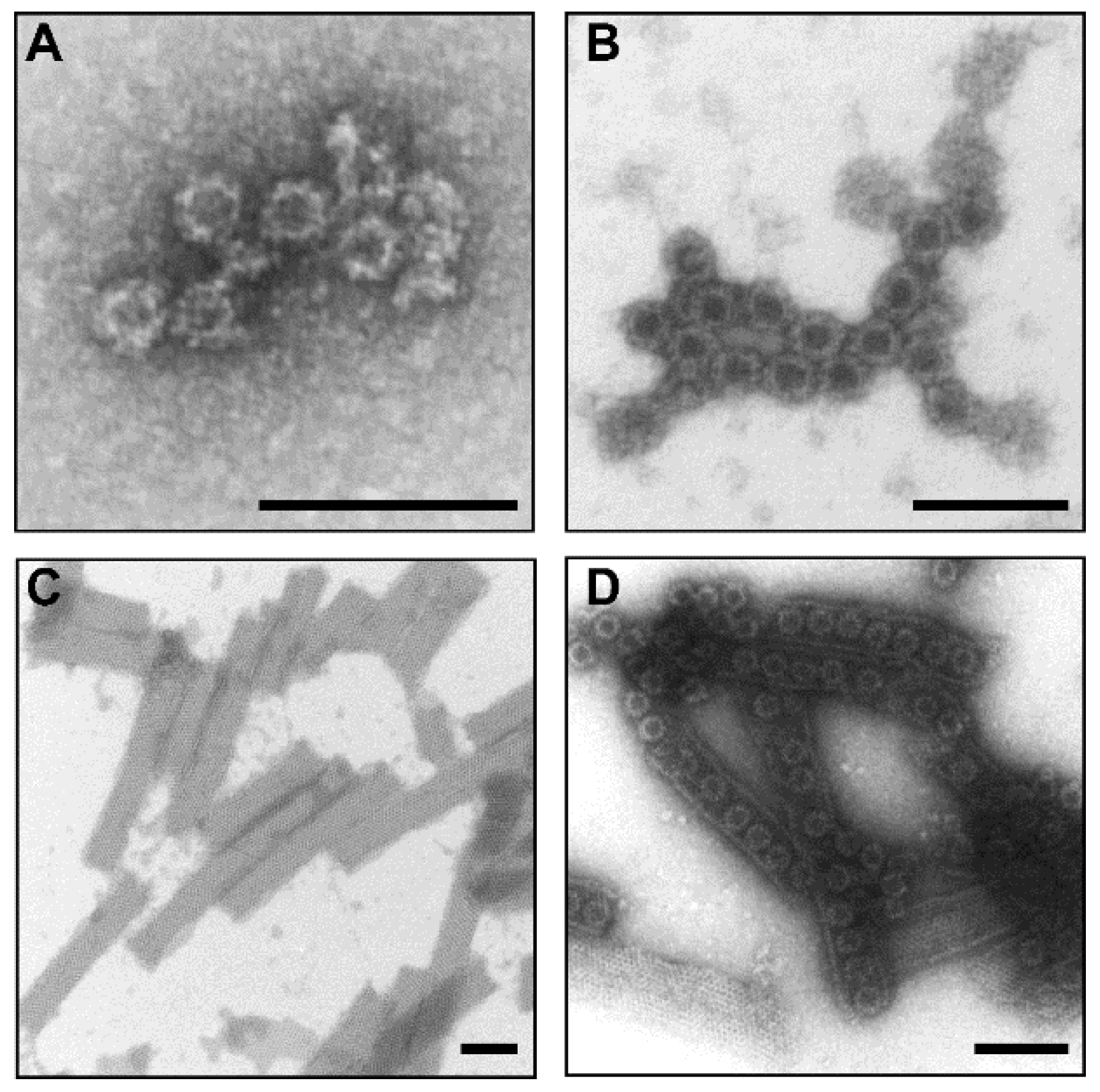Pharmaceutics 11 00229 g001 Pharmaceutics 11 00229 g001