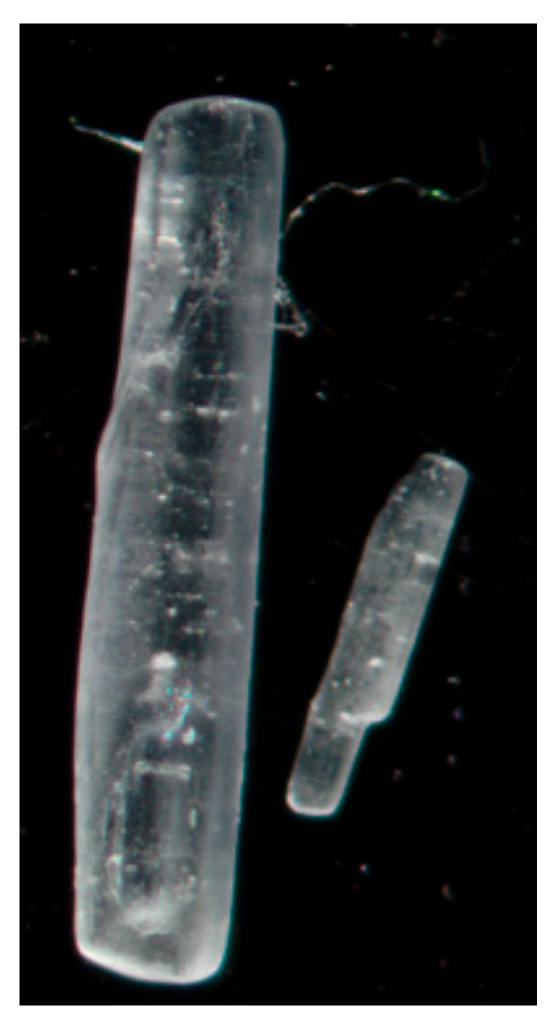 Pharmaceutics 11 00233 g001 Pharmaceutics 11 00233 g001