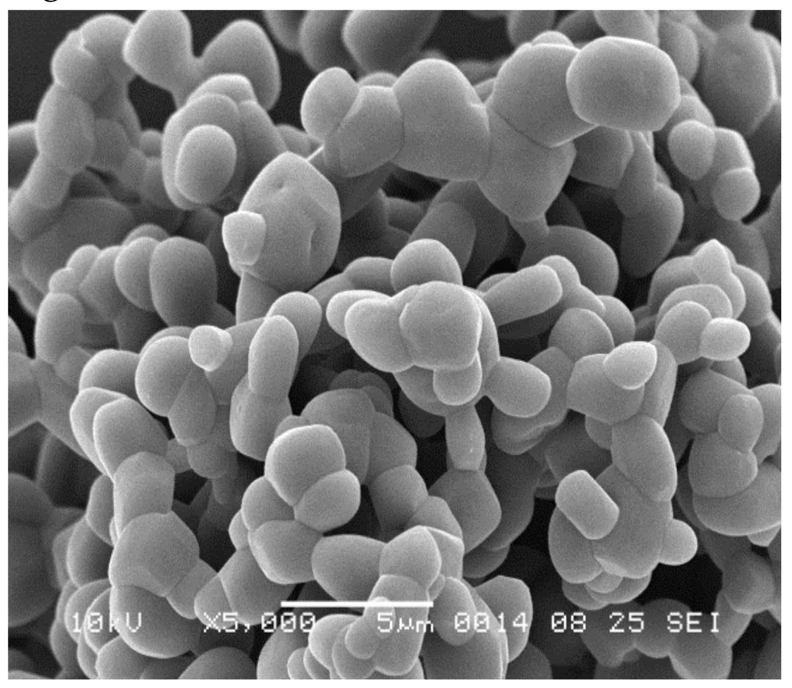 Pharmaceutics 11 00233 g003 Pharmaceutics 11 00233 g003