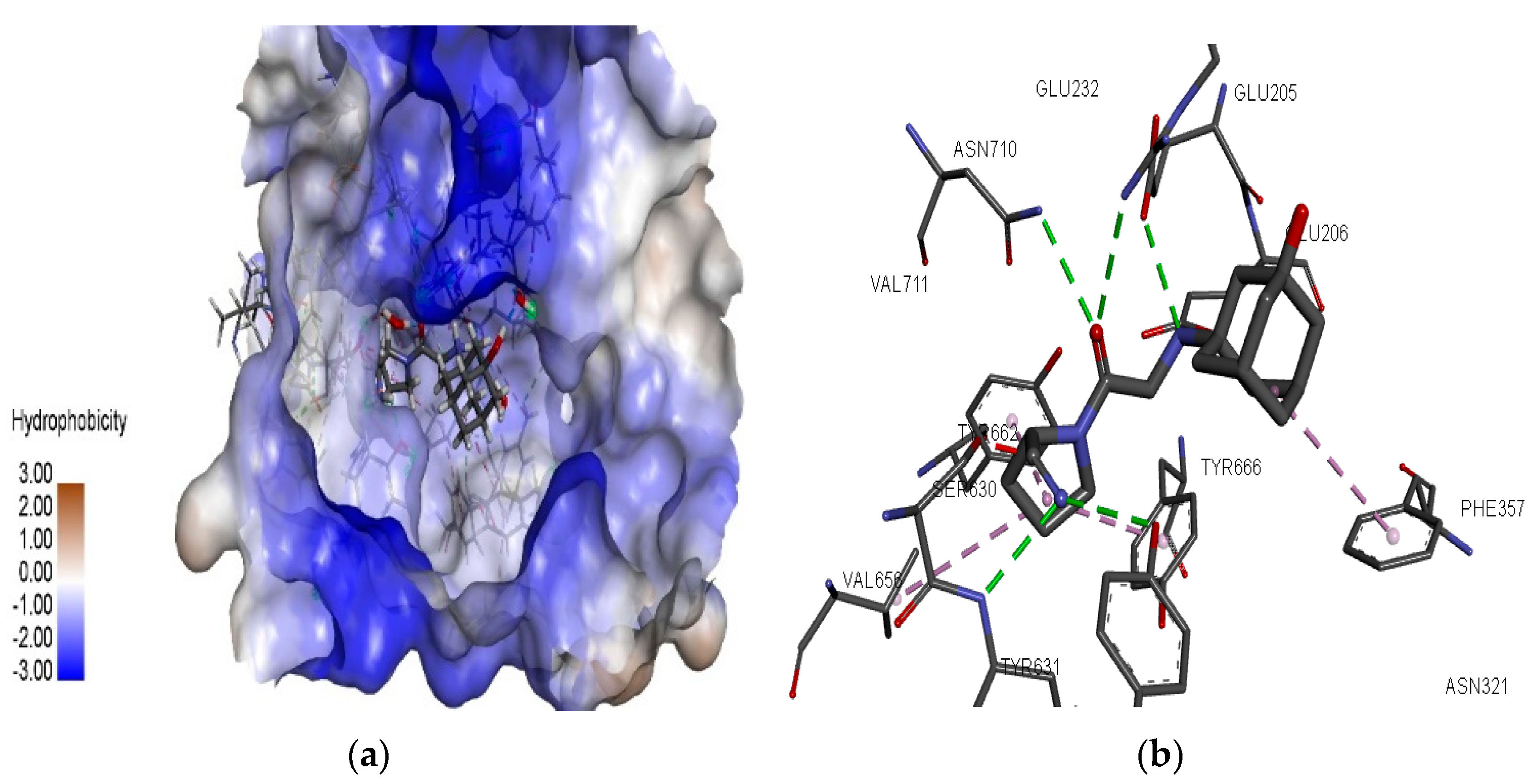 Pharmaceutics 11 00238 g002