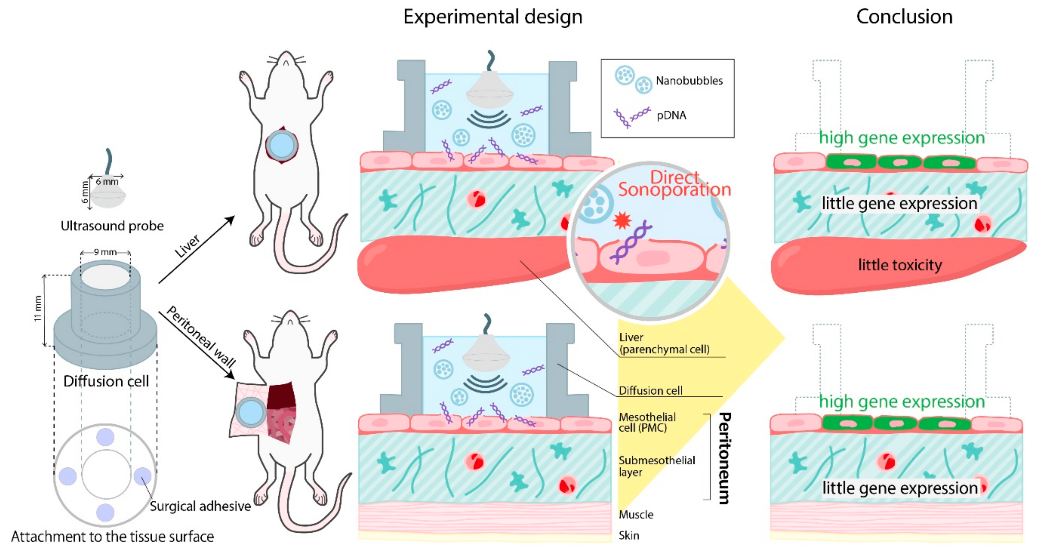 Pharmaceutics 11 00244 g001