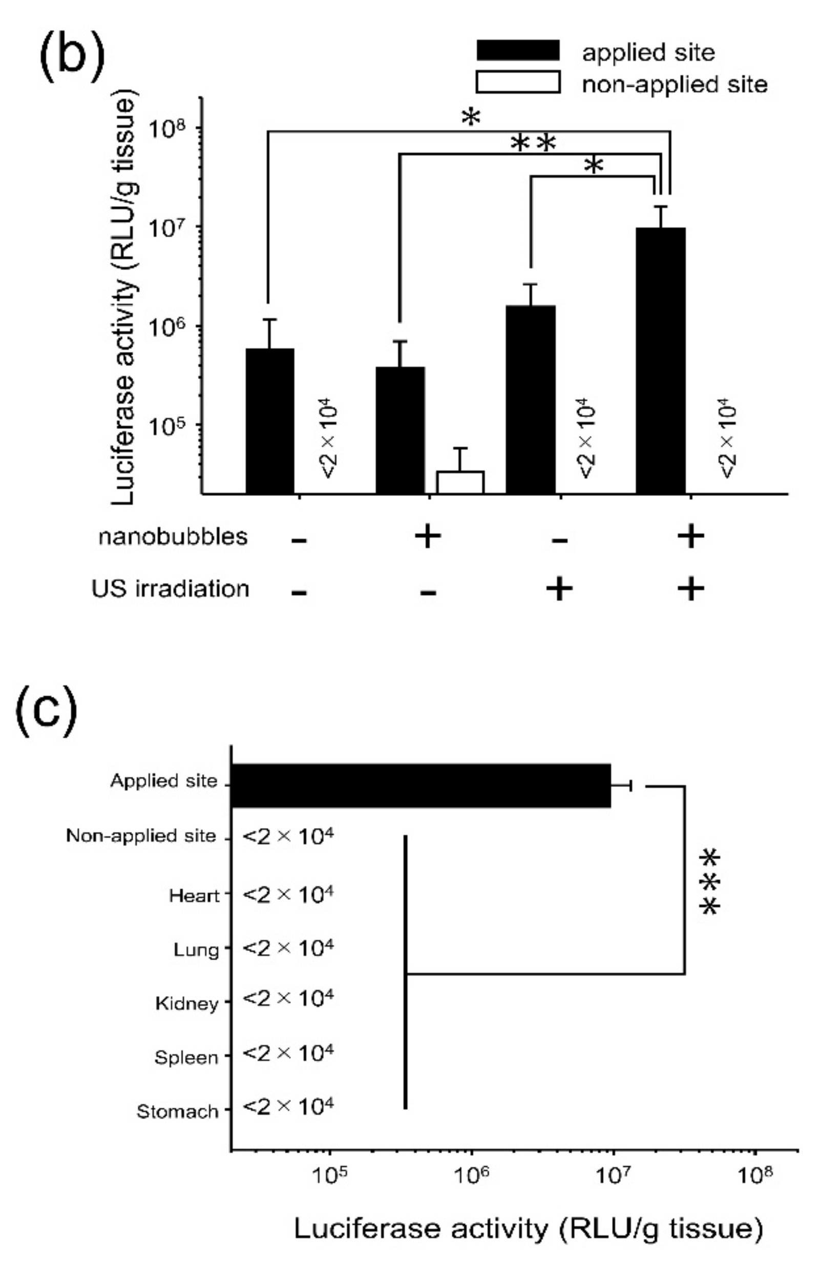 Pharmaceutics 11 00244 g002b