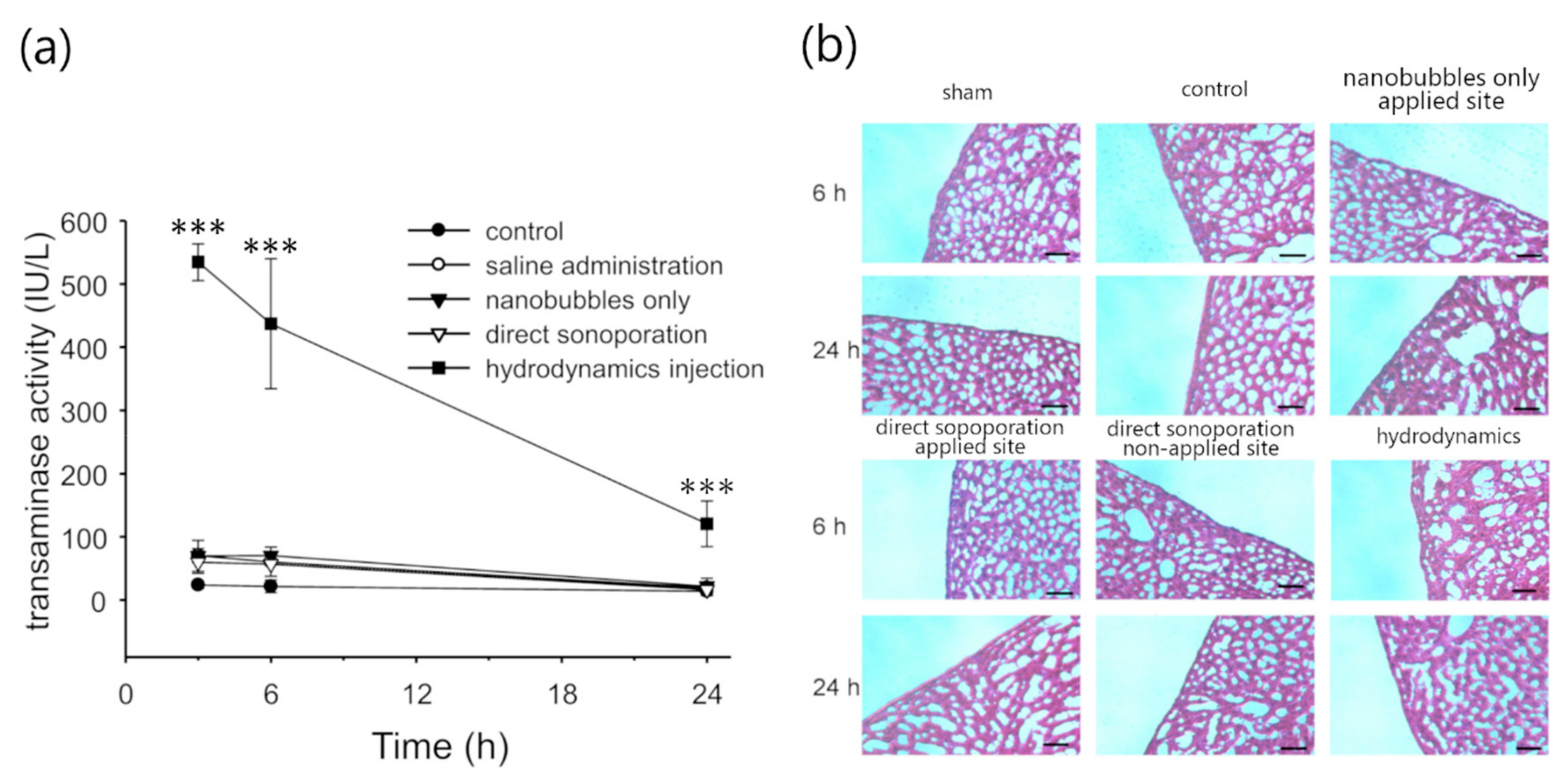 Pharmaceutics 11 00244 g005
