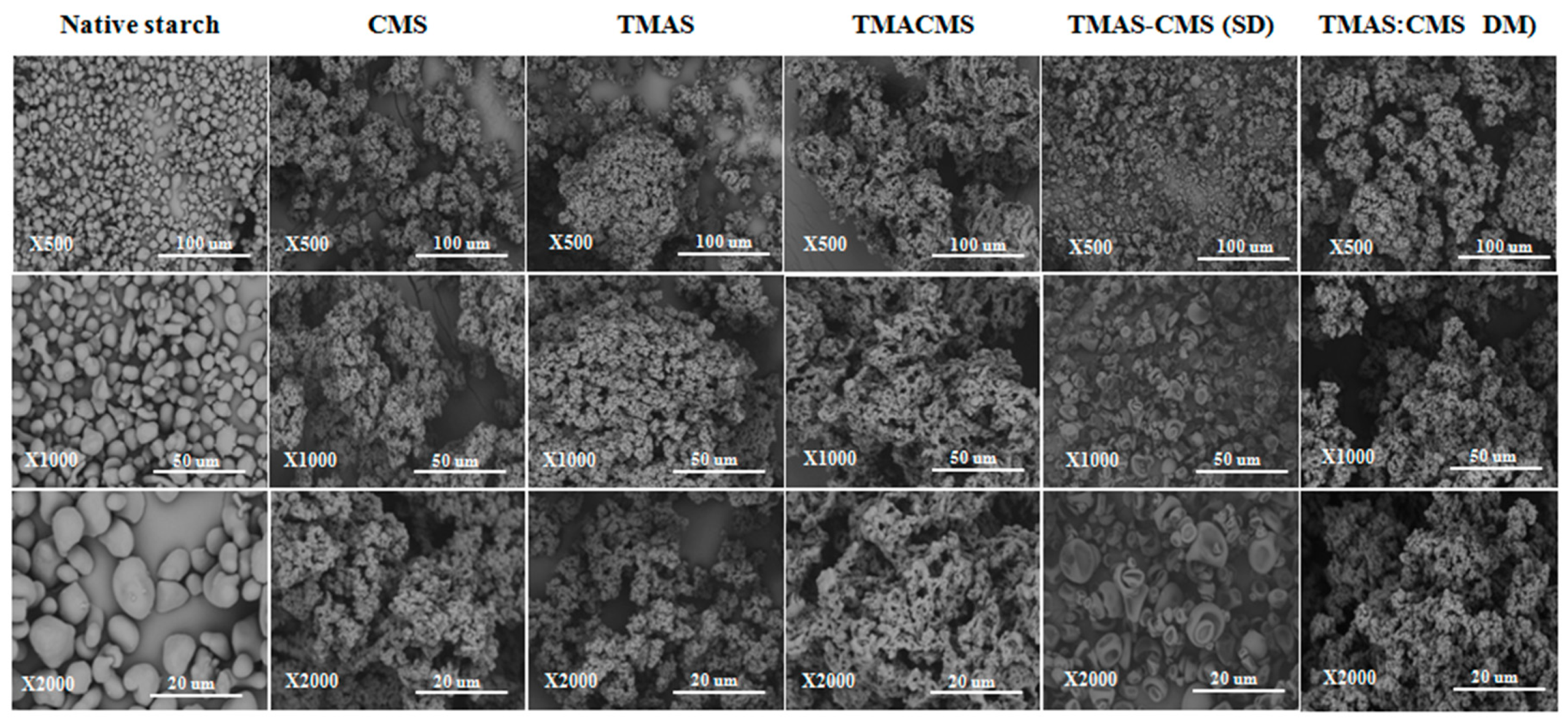 Pharmaceutics 11 00253 g004