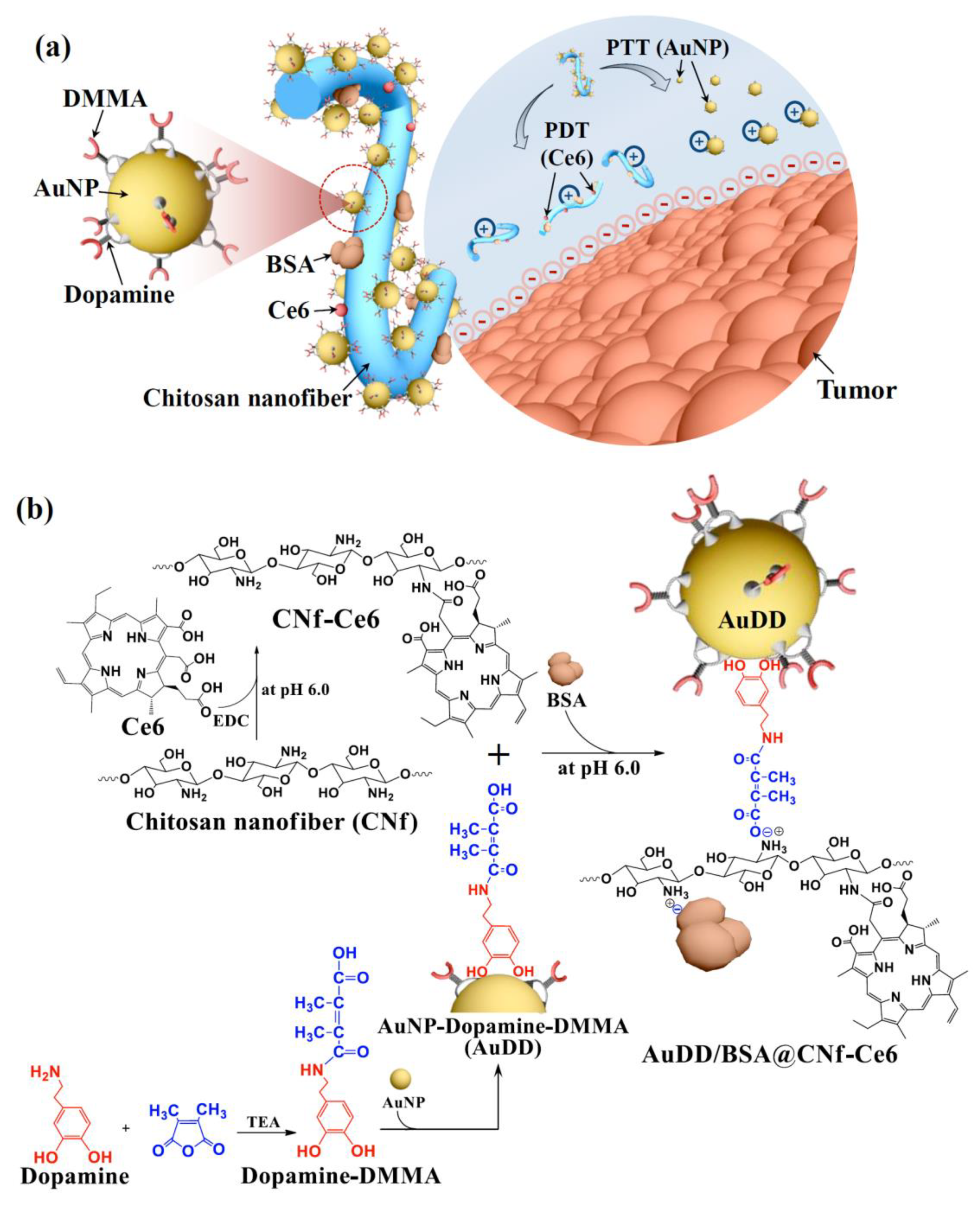 Pharmaceutics 11 00258 g001