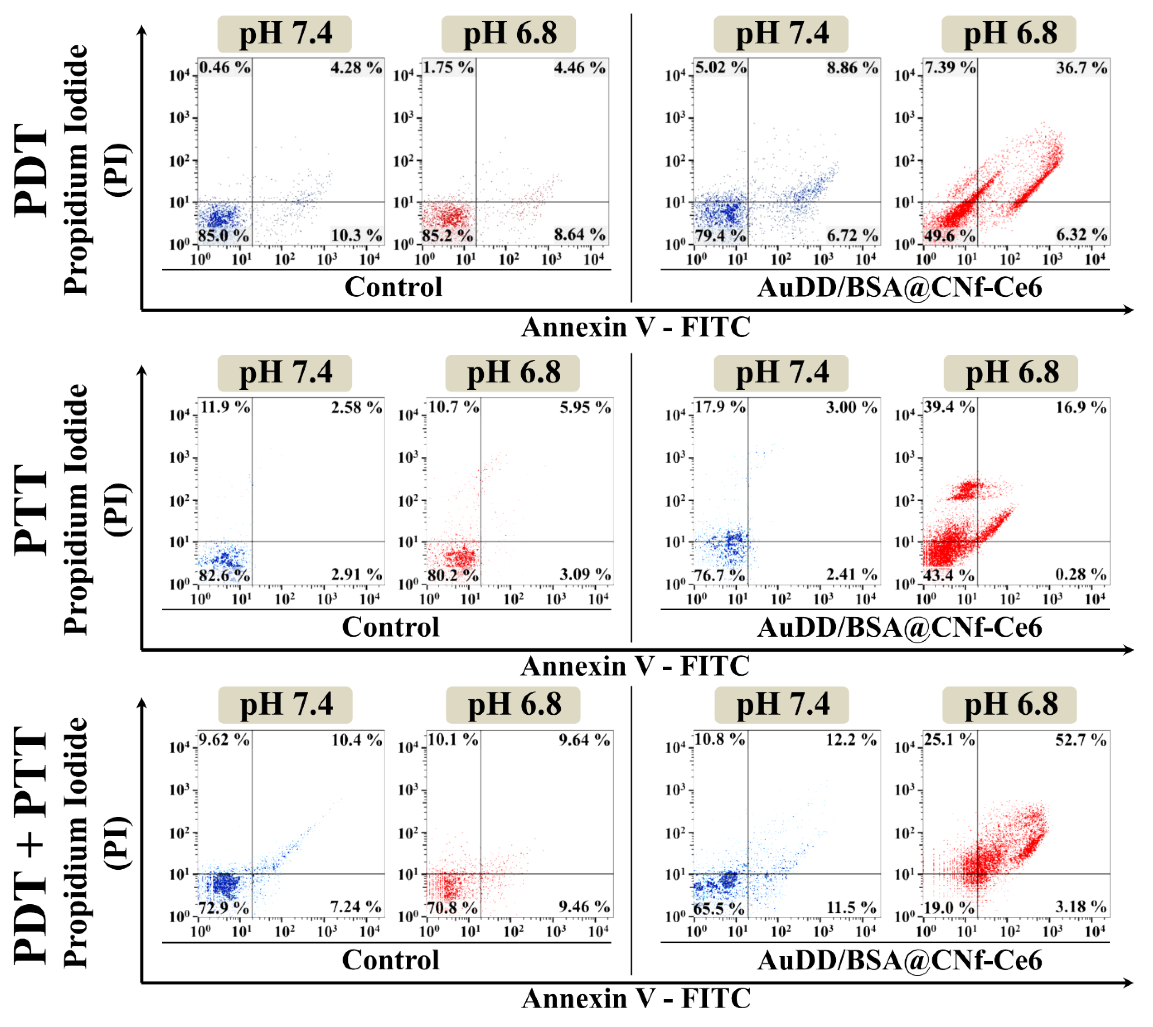 Pharmaceutics 11 00258 g008