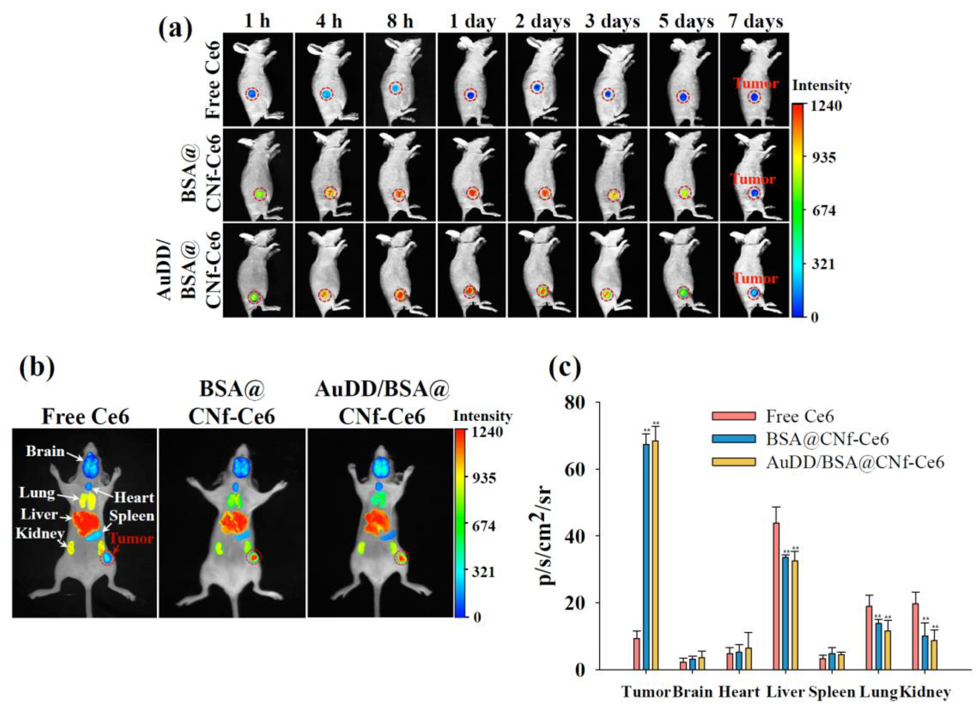 Pharmaceutics 11 00258 g009