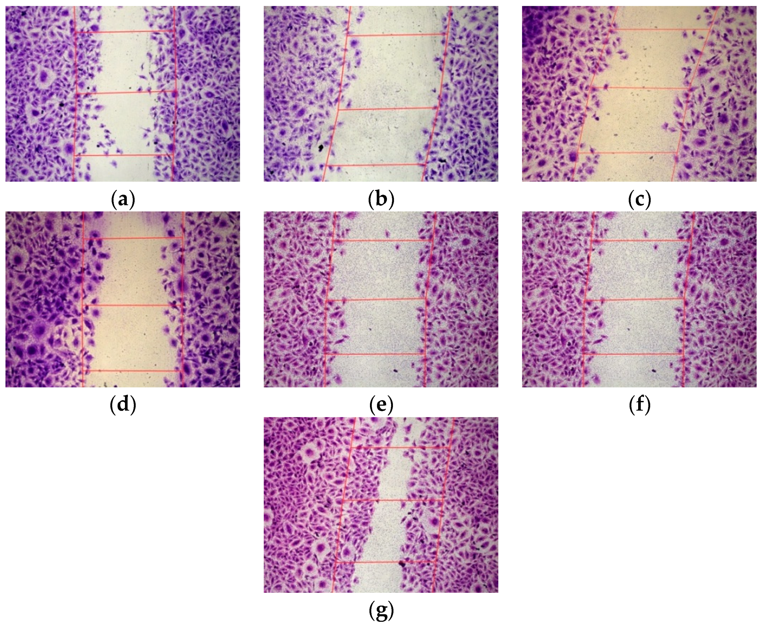 Pharmaceutics 11 00261 g004