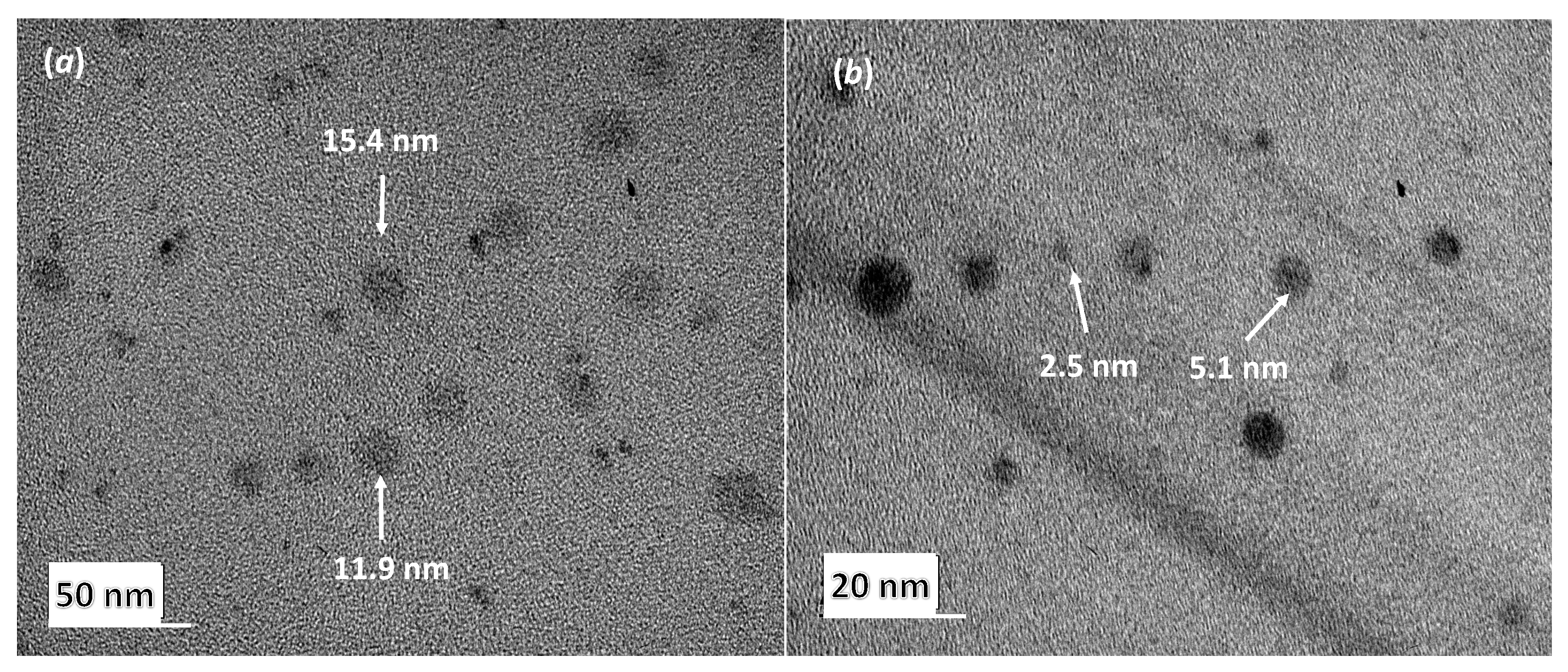 Pharmaceutics 11 00262 g001