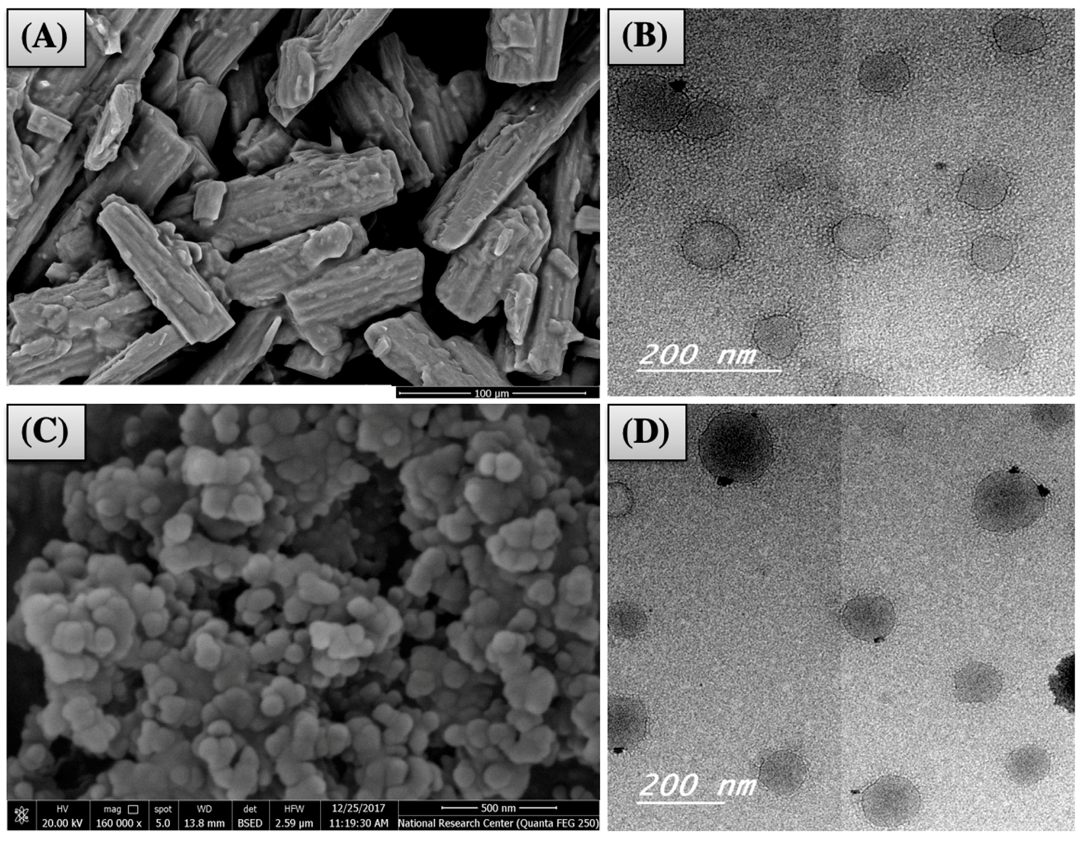 Pharmaceutics 11 00275 g006