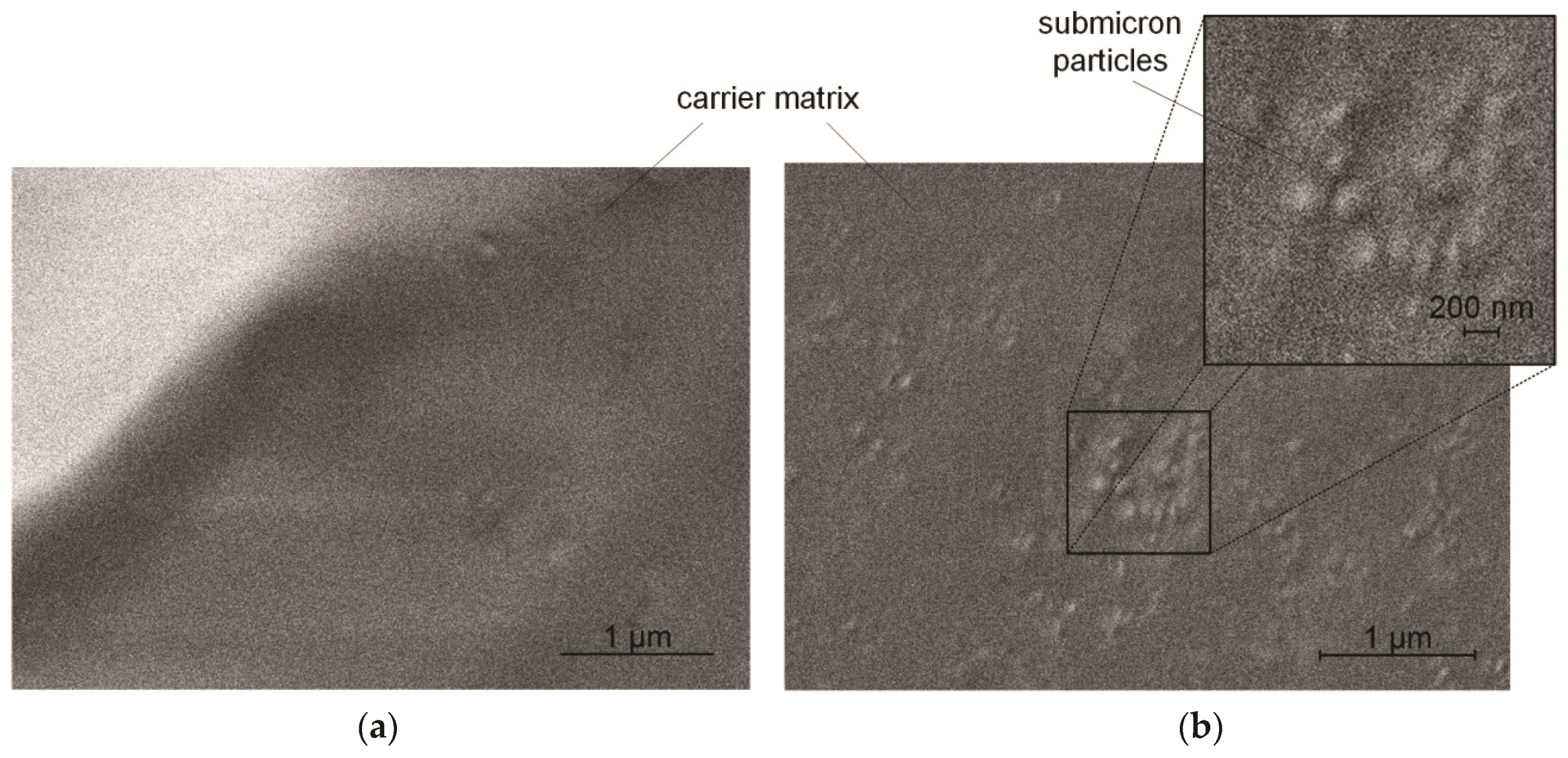 Pharmaceutics 11 00276 g003