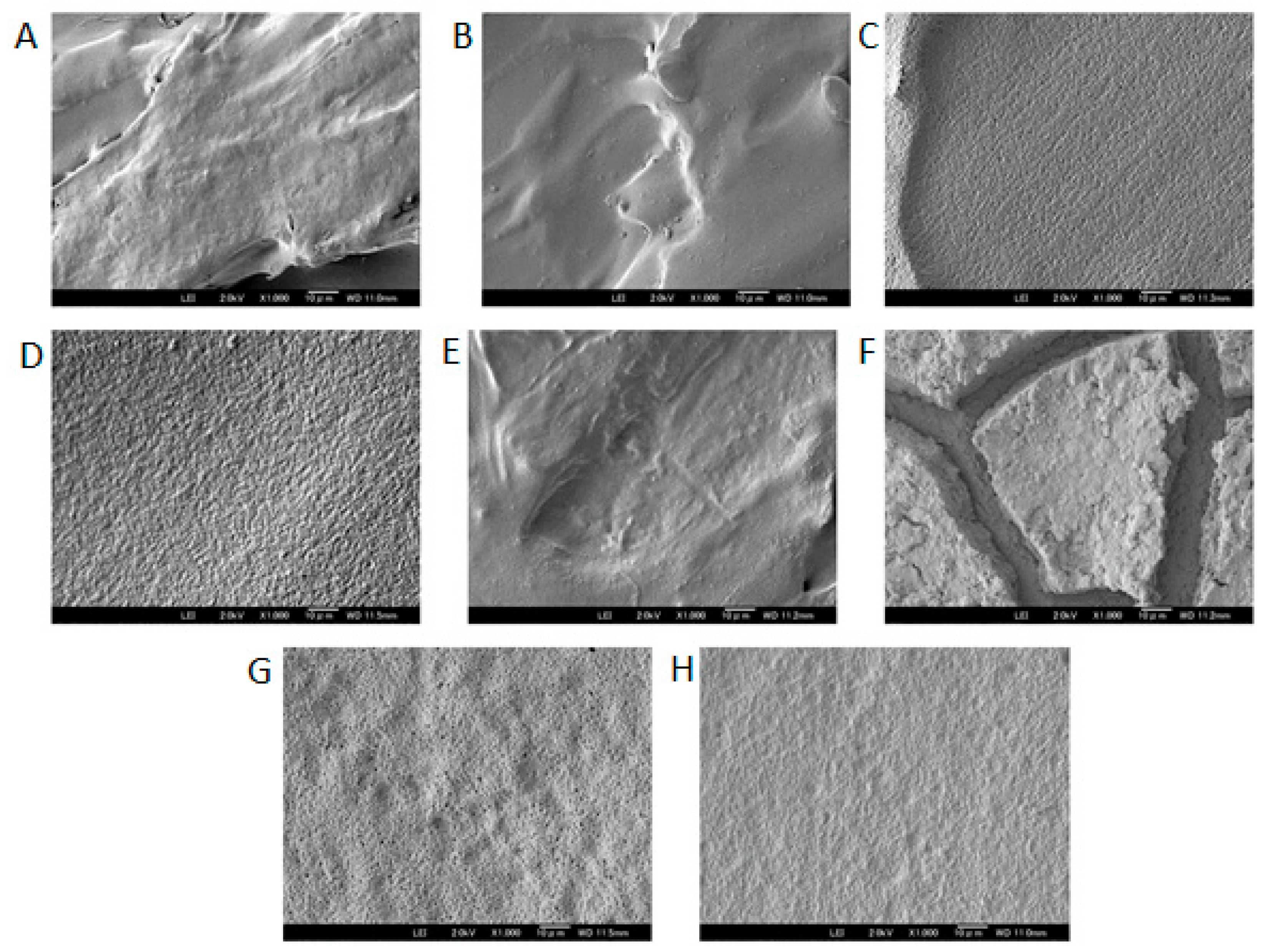 Pharmaceutics 11 00277 g005 Pharmaceutics 11 00277 g005