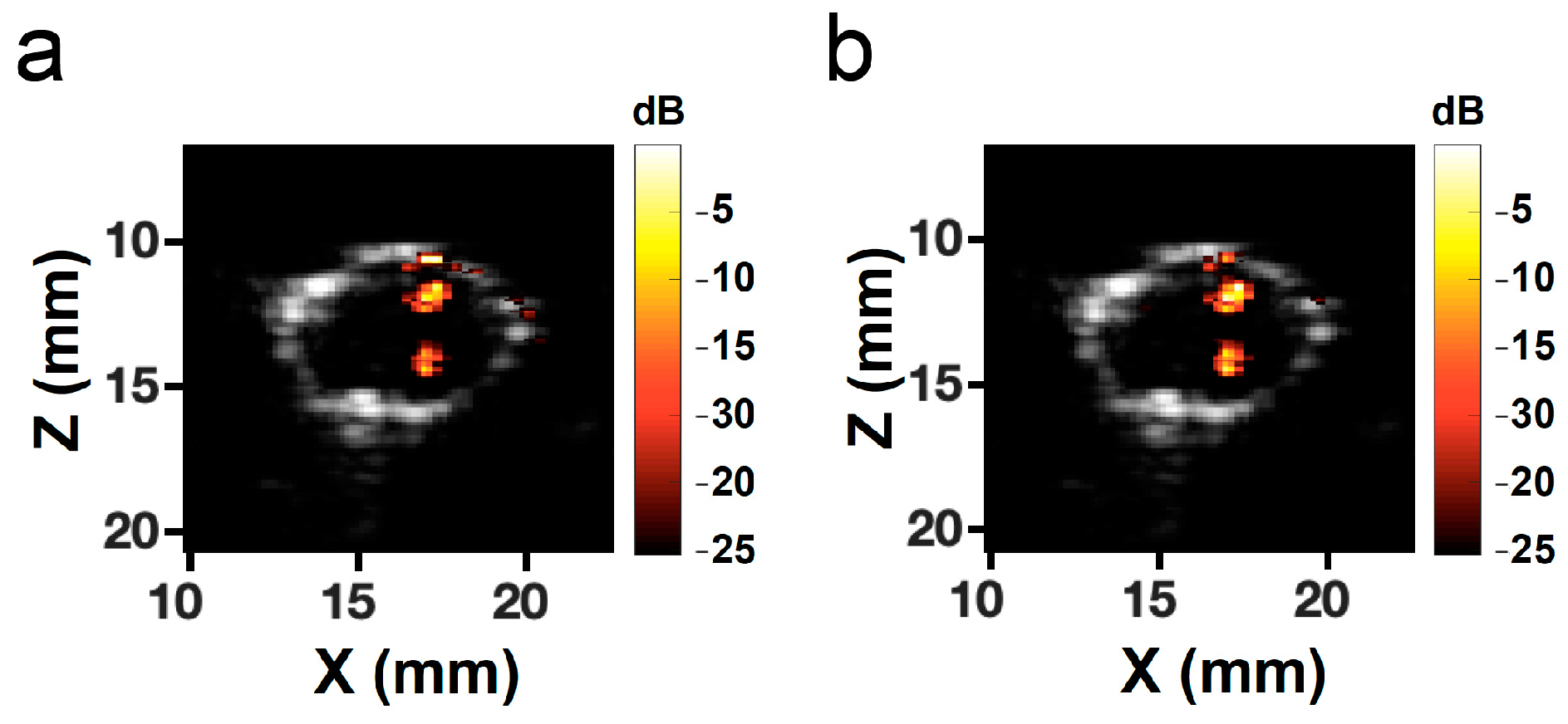 Pharmaceutics 11 00279 g012
