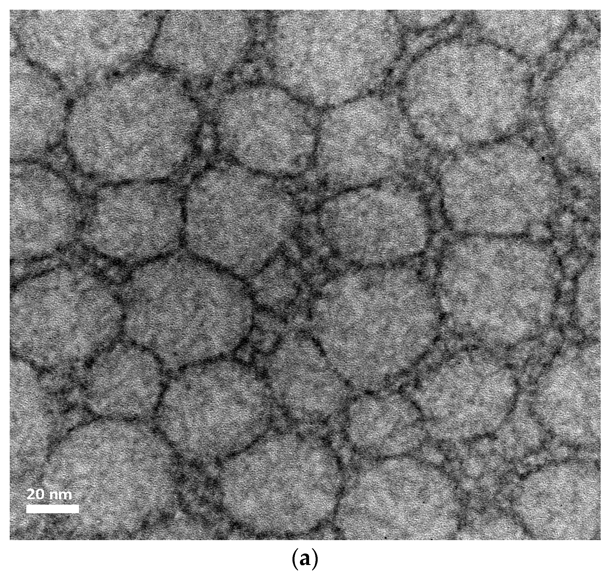 Pharmaceutics 11 00284 g004a