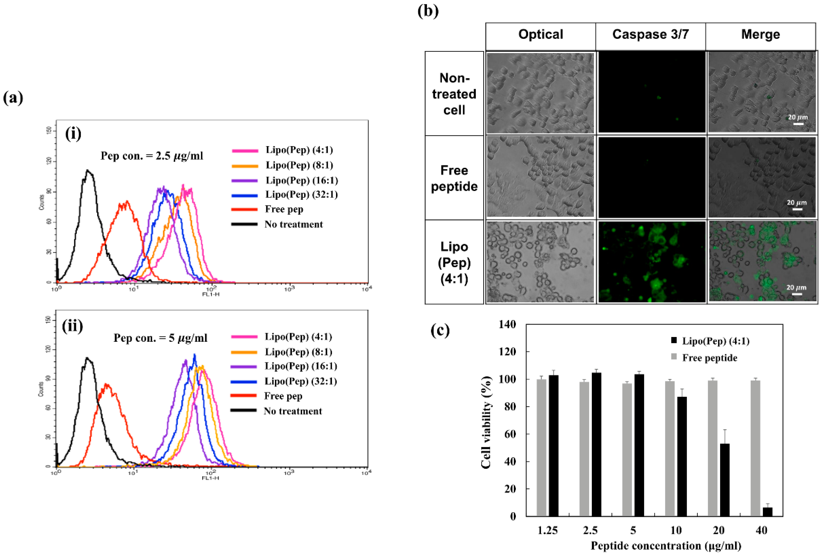 Pharmaceutics 11 00293 g003 Pharmaceutics 11 00293 g003