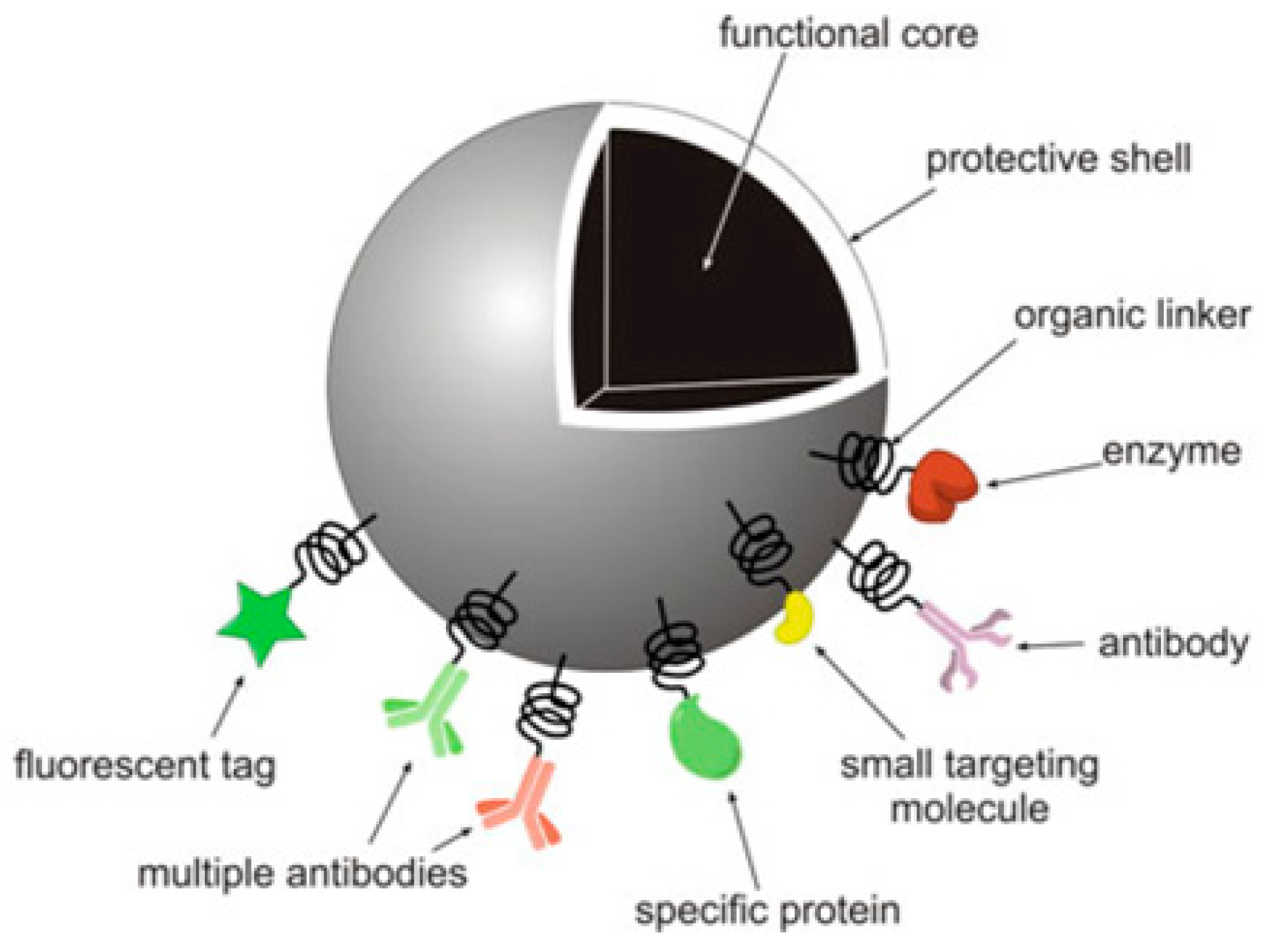 Pharmaceutics 11 00294 g001