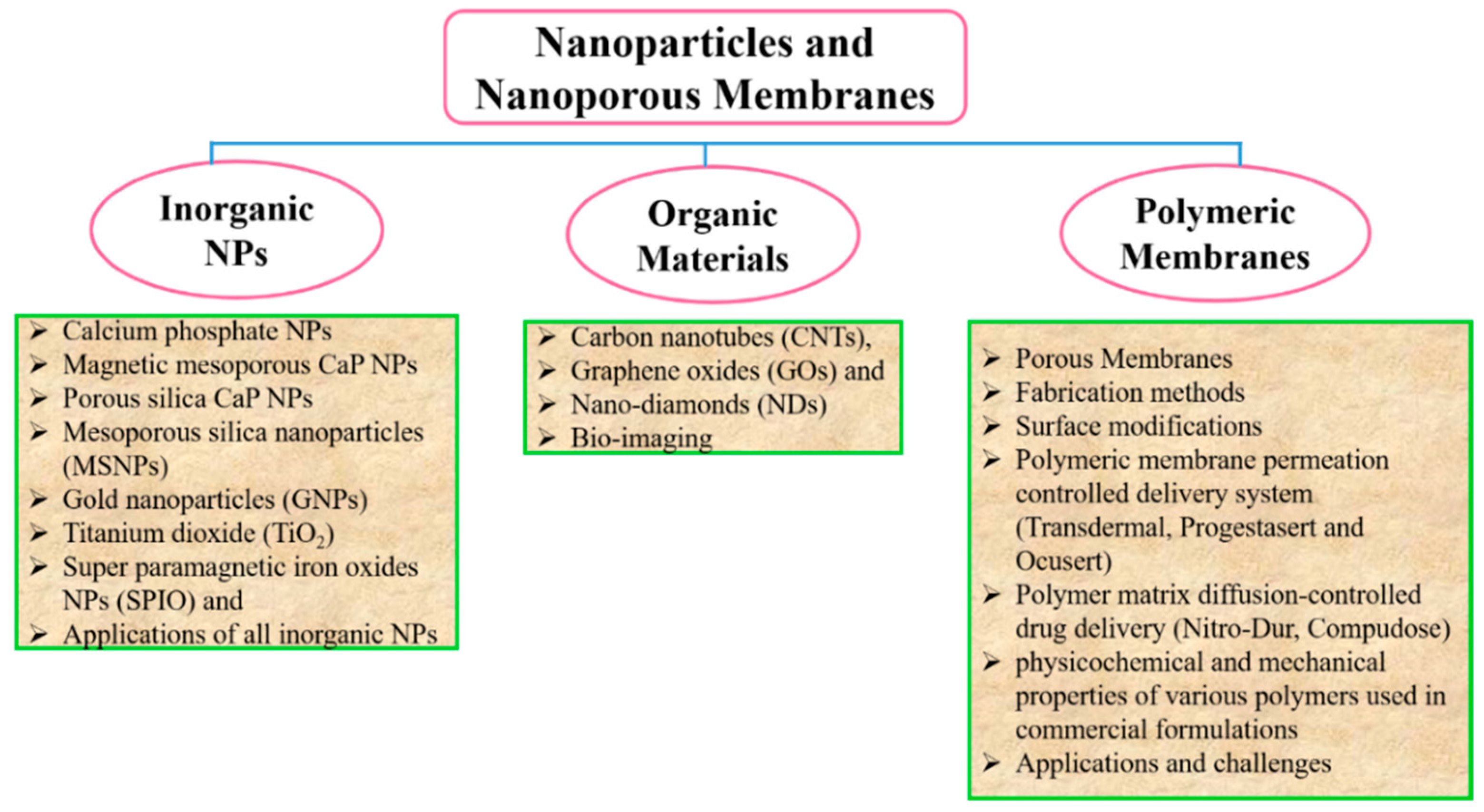 Pharmaceutics 11 00294 g002