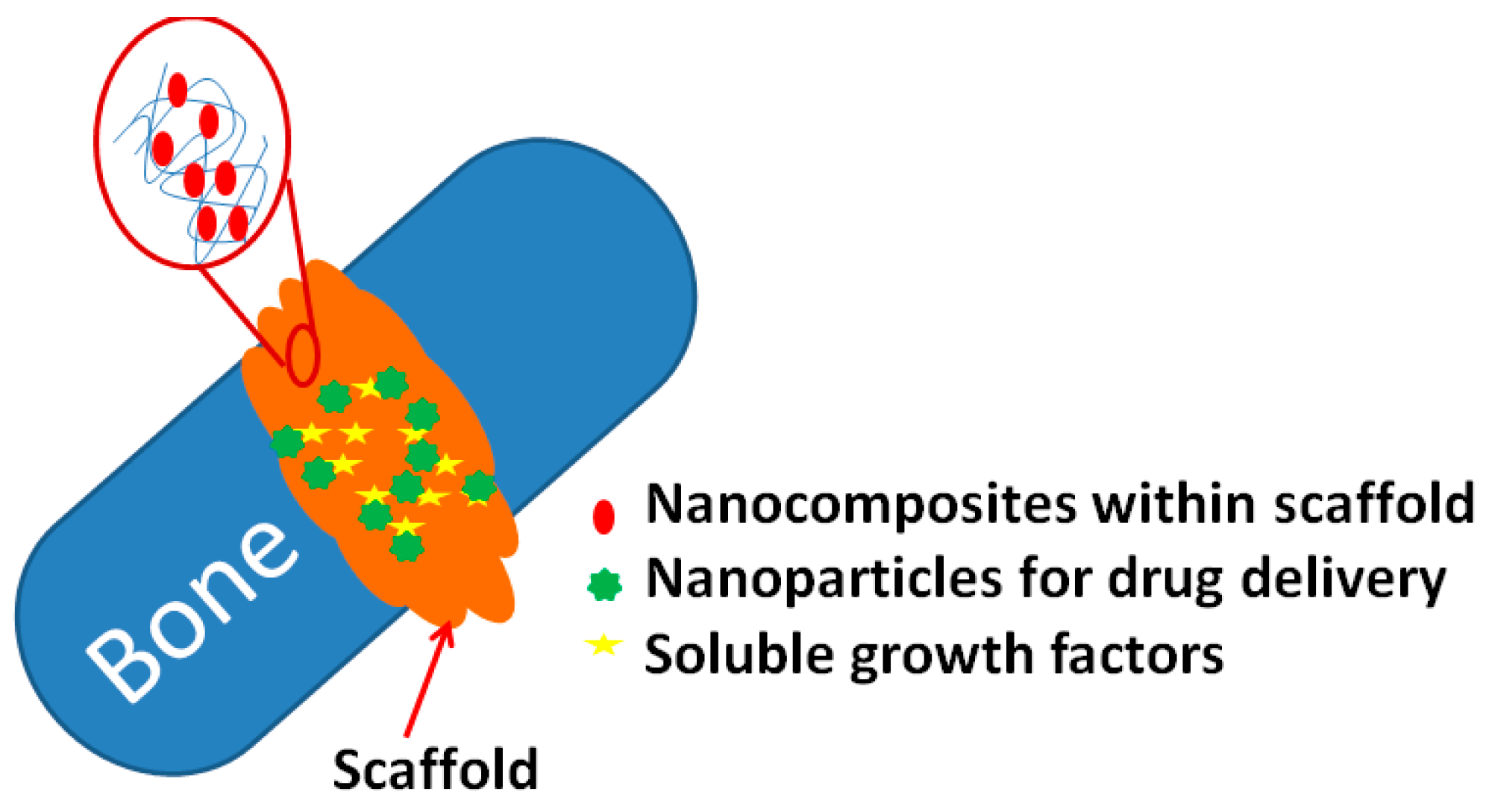 Pharmaceutics 11 00294 g006