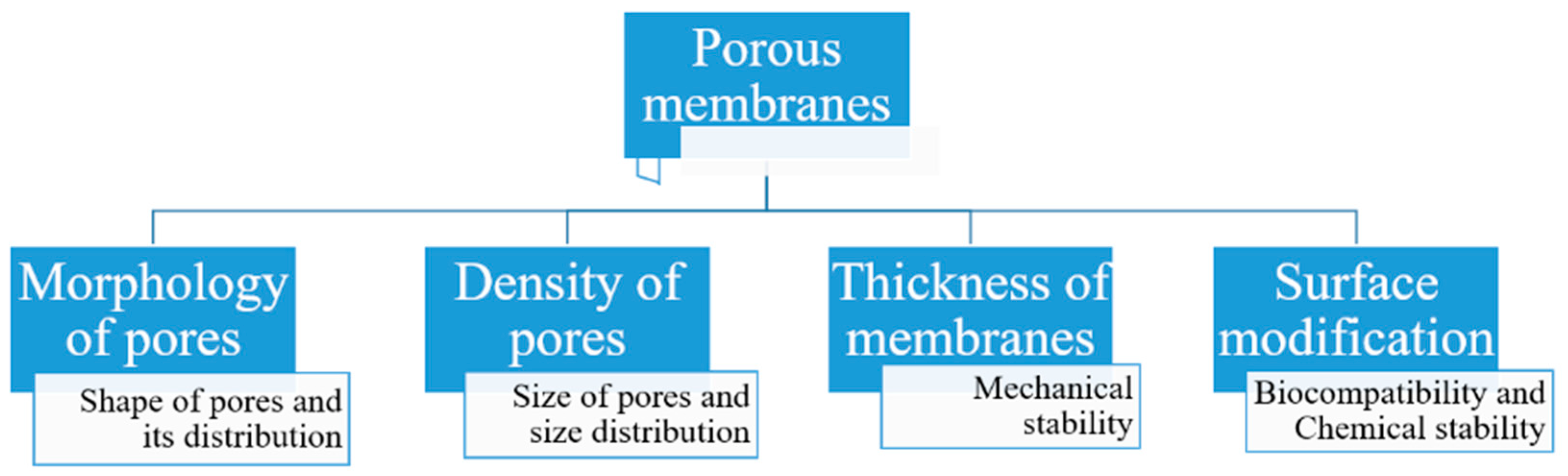 Pharmaceutics 11 00294 g010