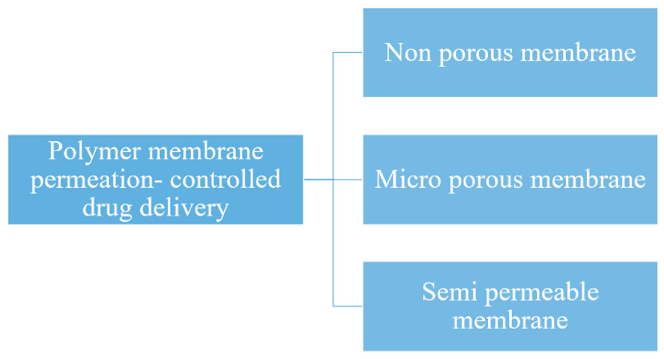 Pharmaceutics 11 00294 g012