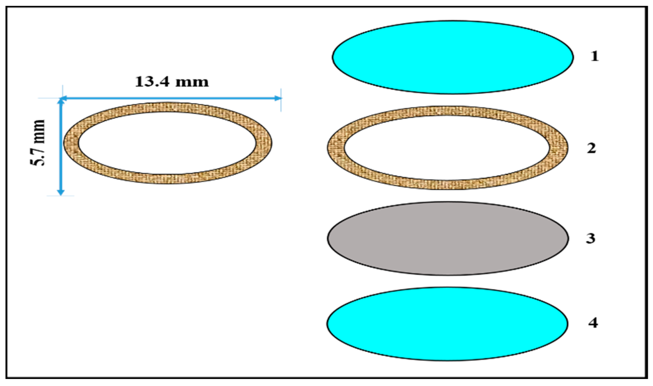 Pharmaceutics 11 00294 g014
