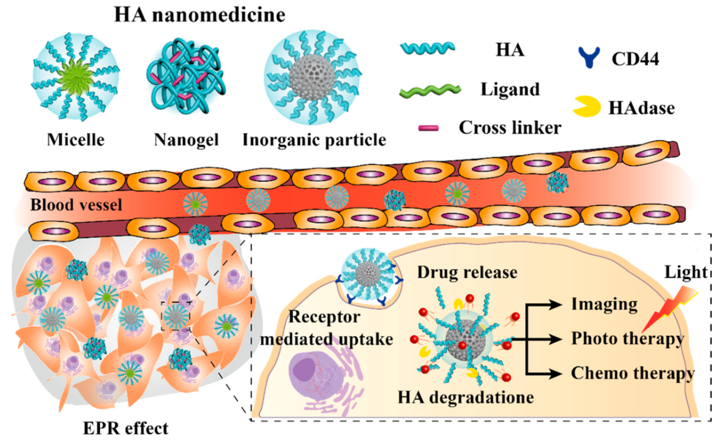Pharmaceutics 11 00301 g001