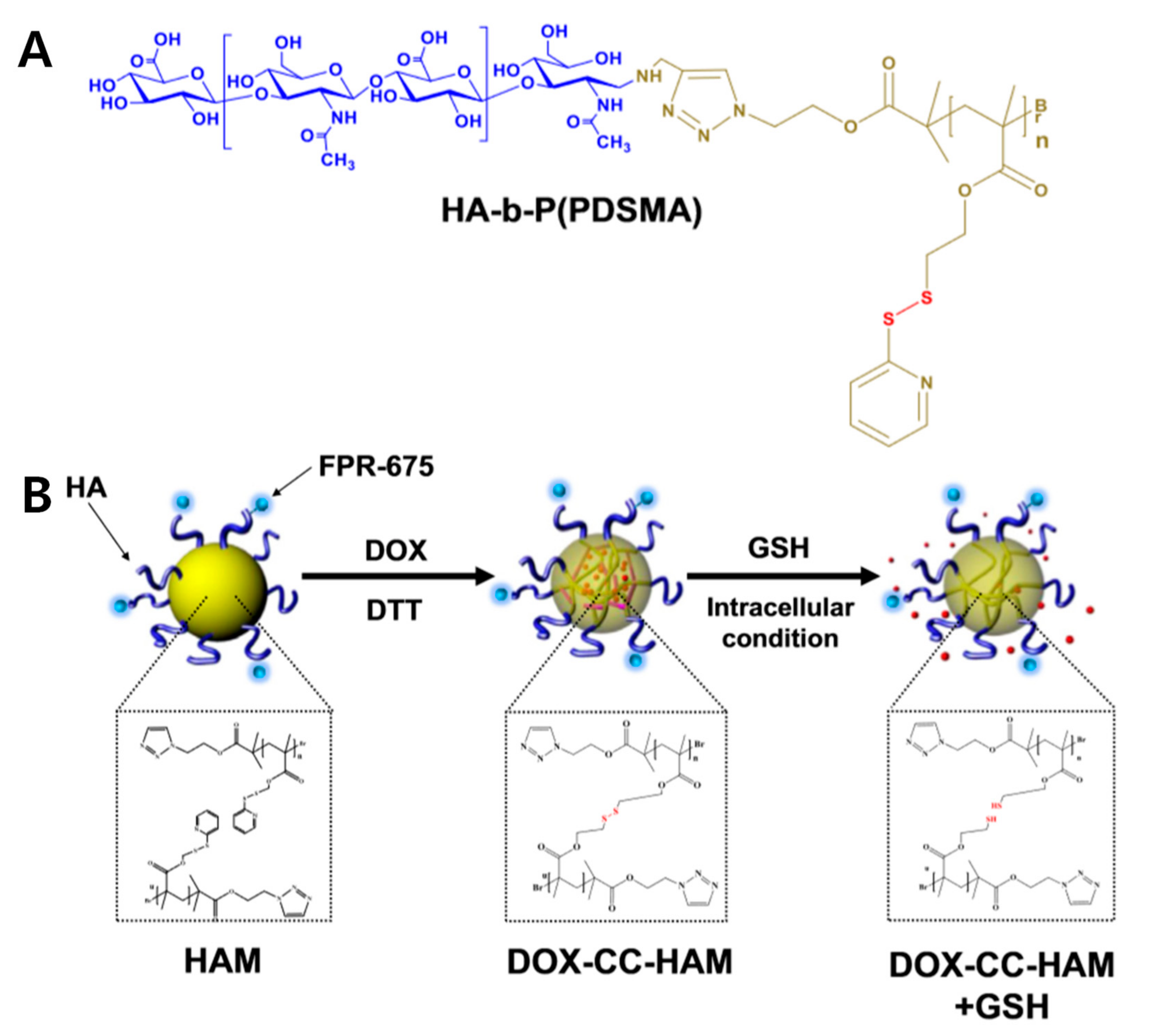 Pharmaceutics 11 00301 g003