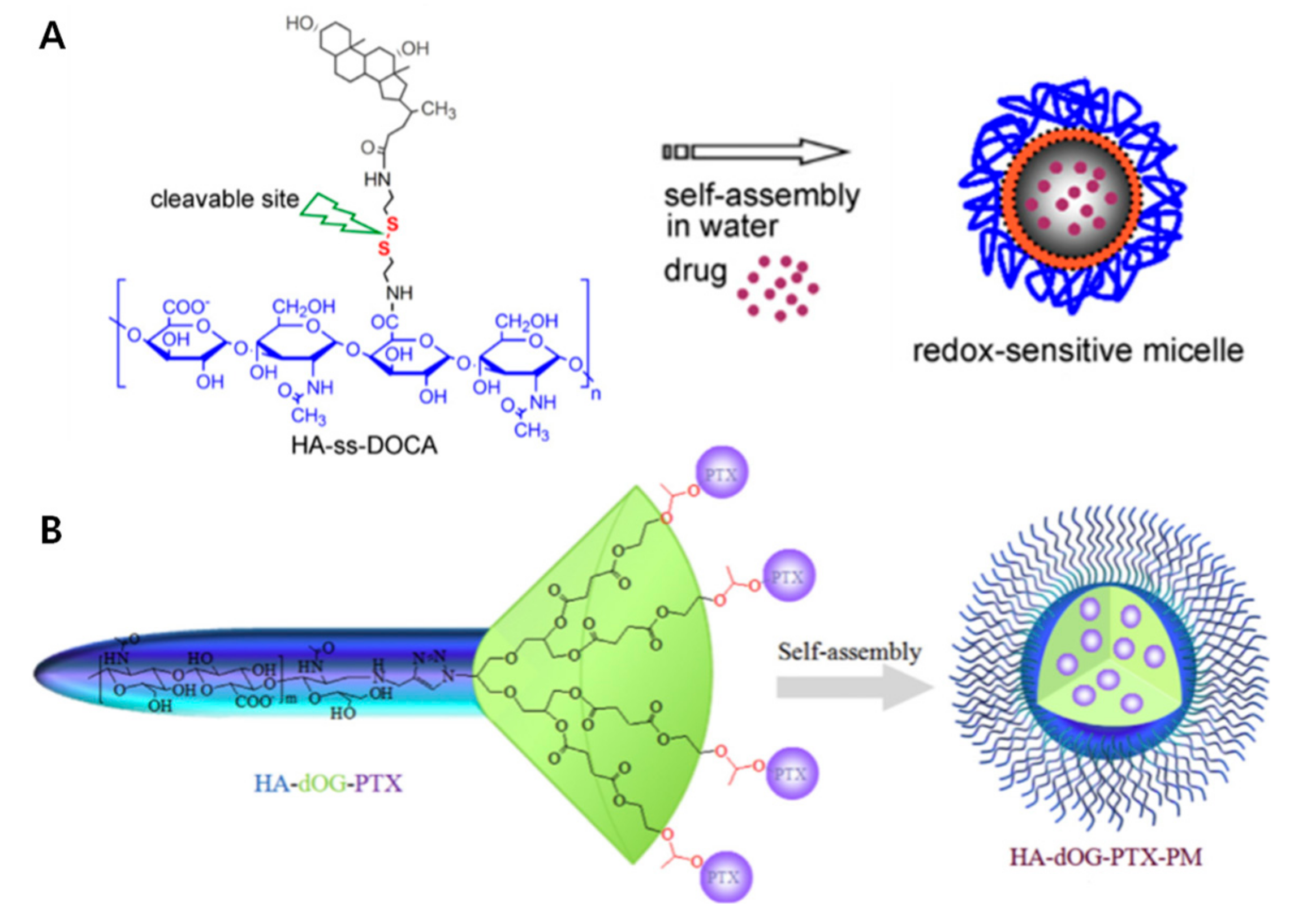 Pharmaceutics 11 00301 g004