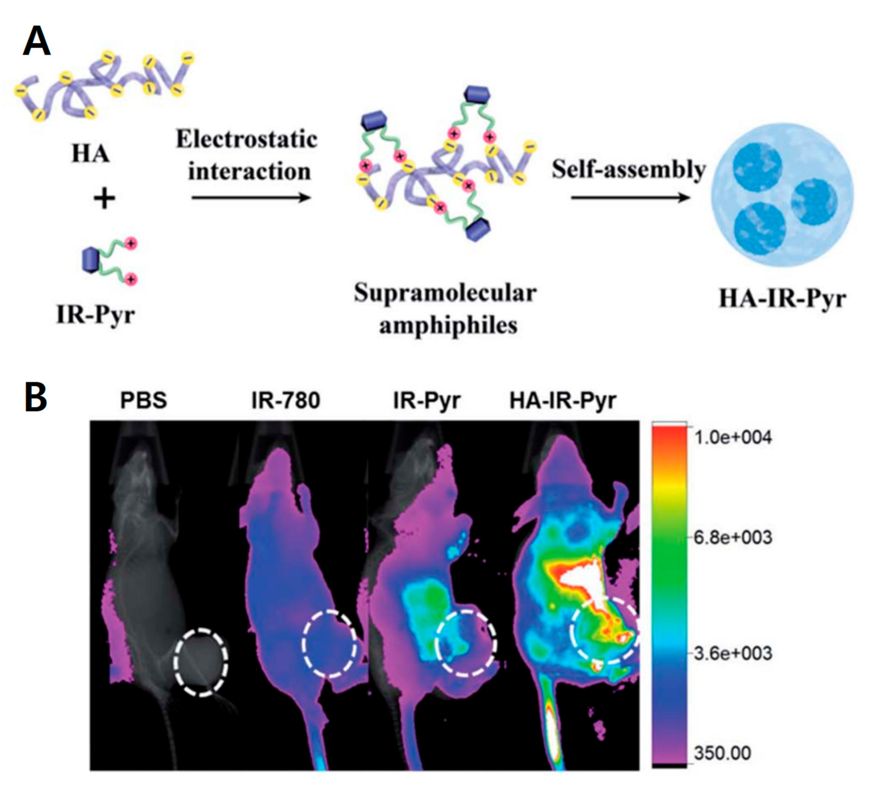 Pharmaceutics 11 00301 g005