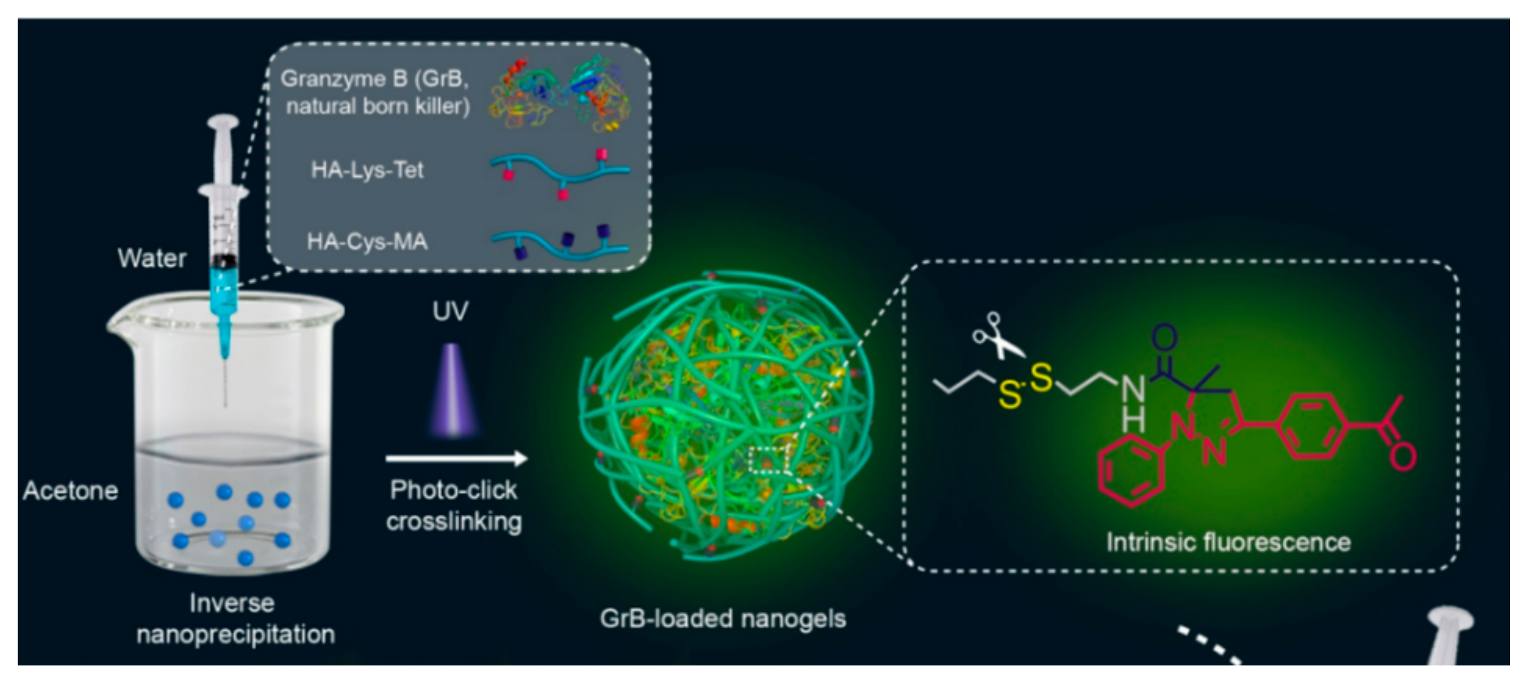 Pharmaceutics 11 00301 g007