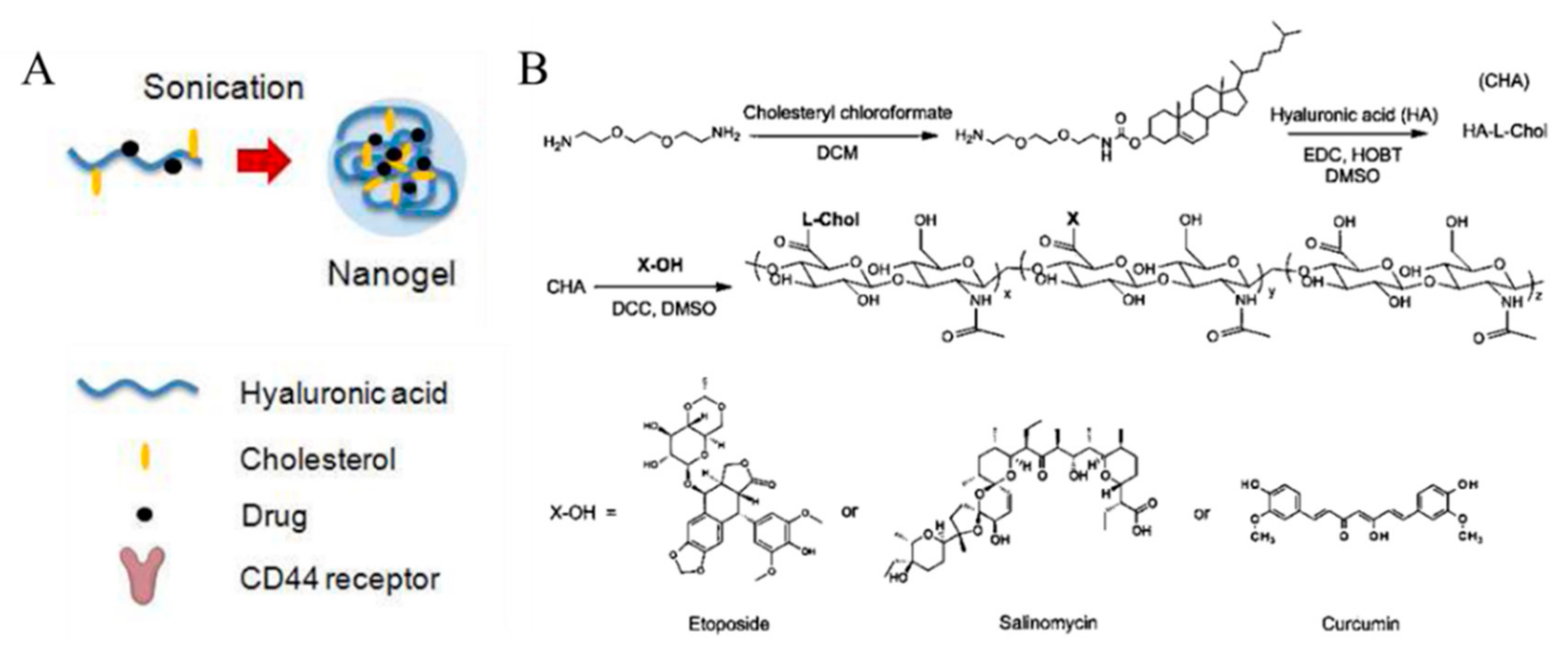 Pharmaceutics 11 00301 g008
