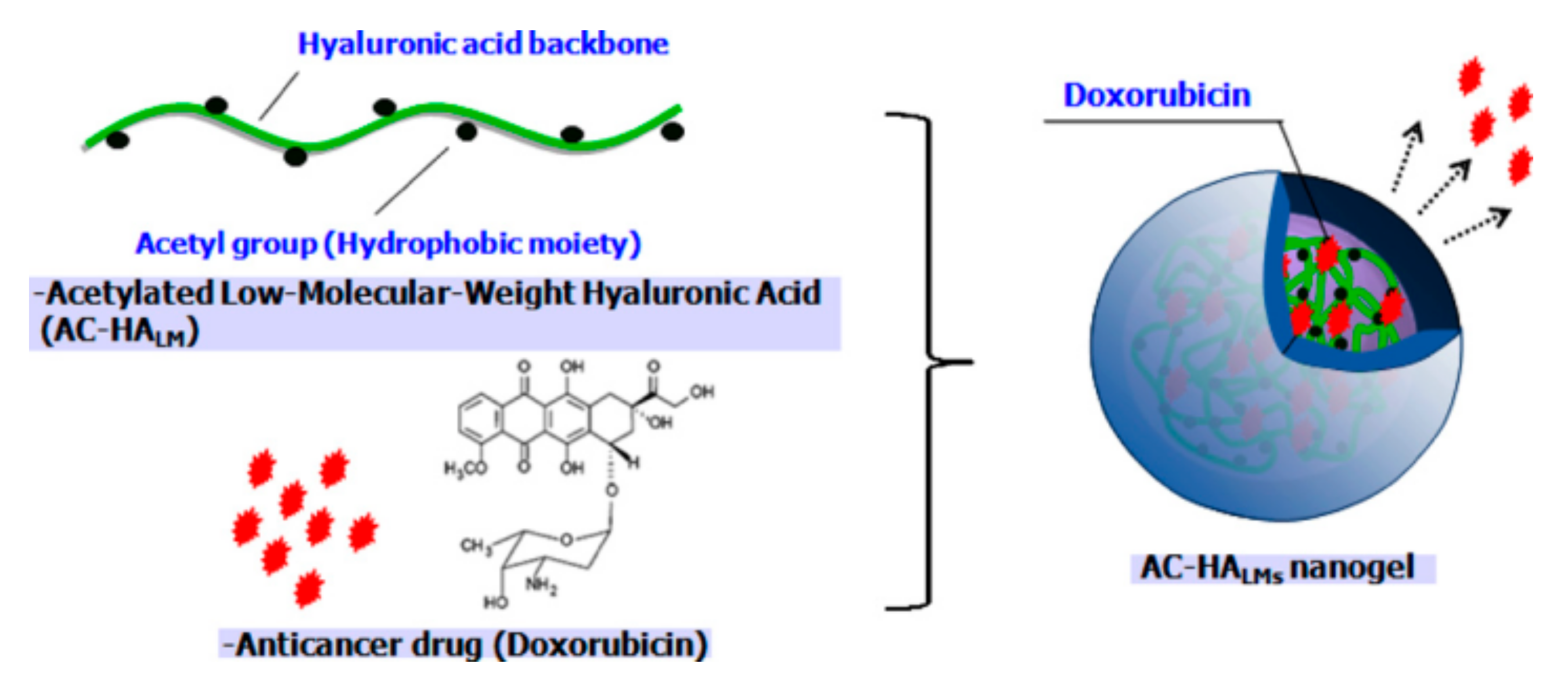 Pharmaceutics 11 00301 g009