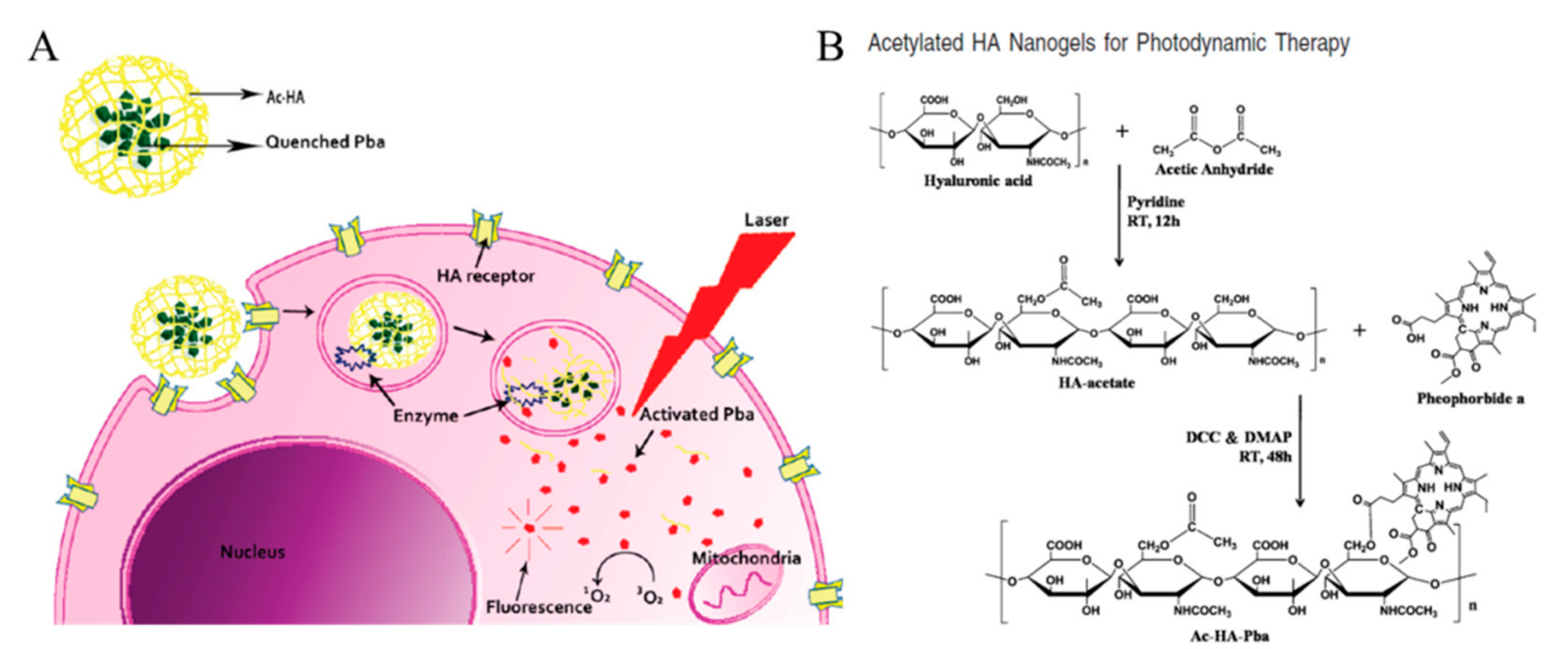 Pharmaceutics 11 00301 g010