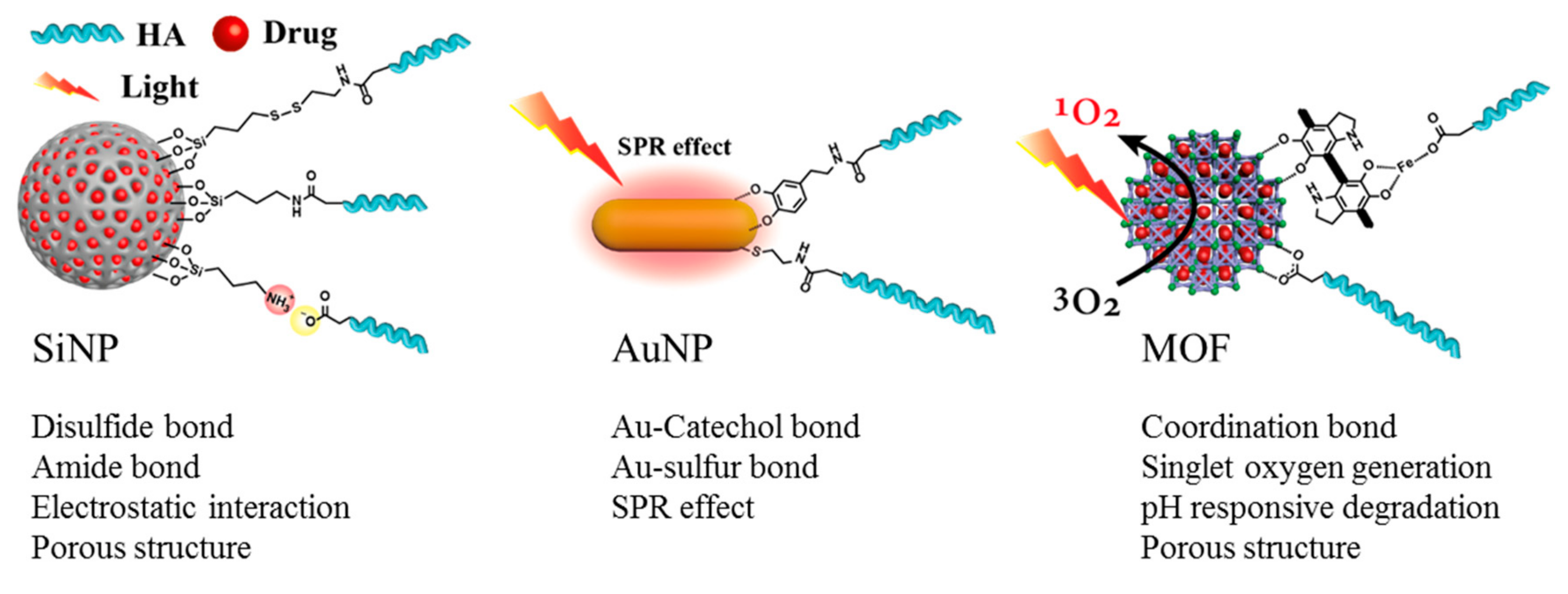 Pharmaceutics 11 00301 g011