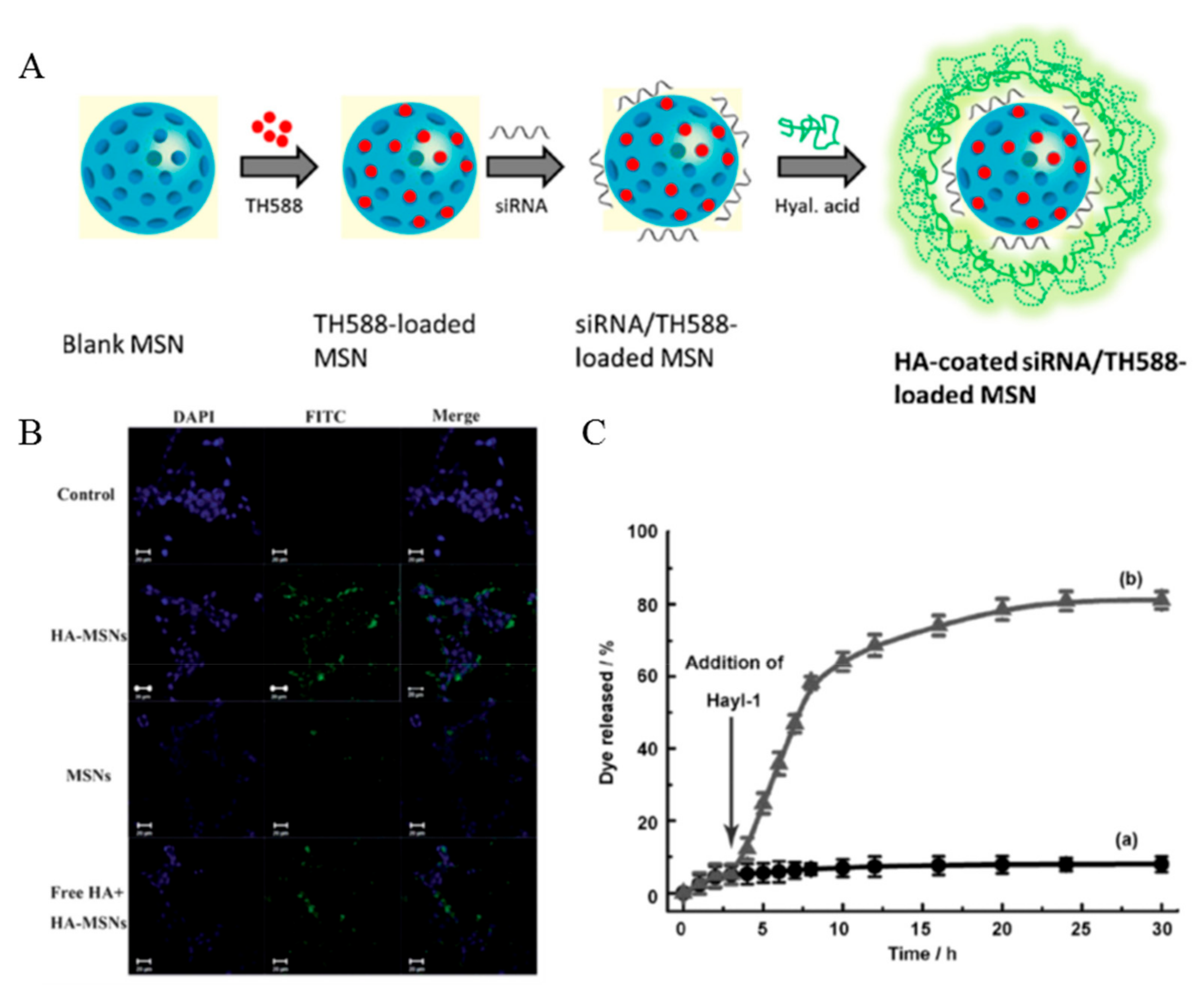 Pharmaceutics 11 00301 g012