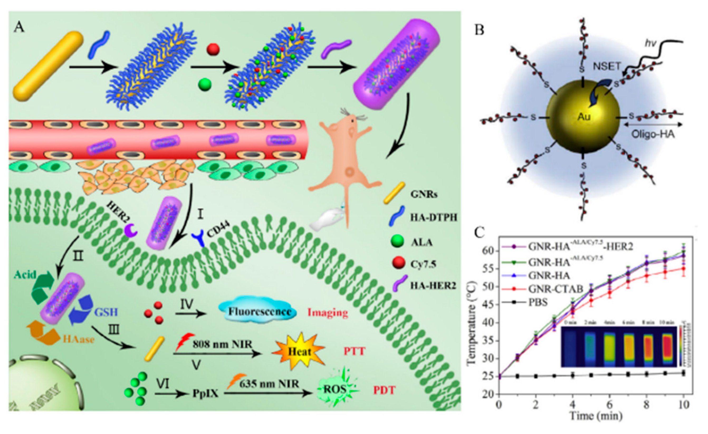 Pharmaceutics 11 00301 g013