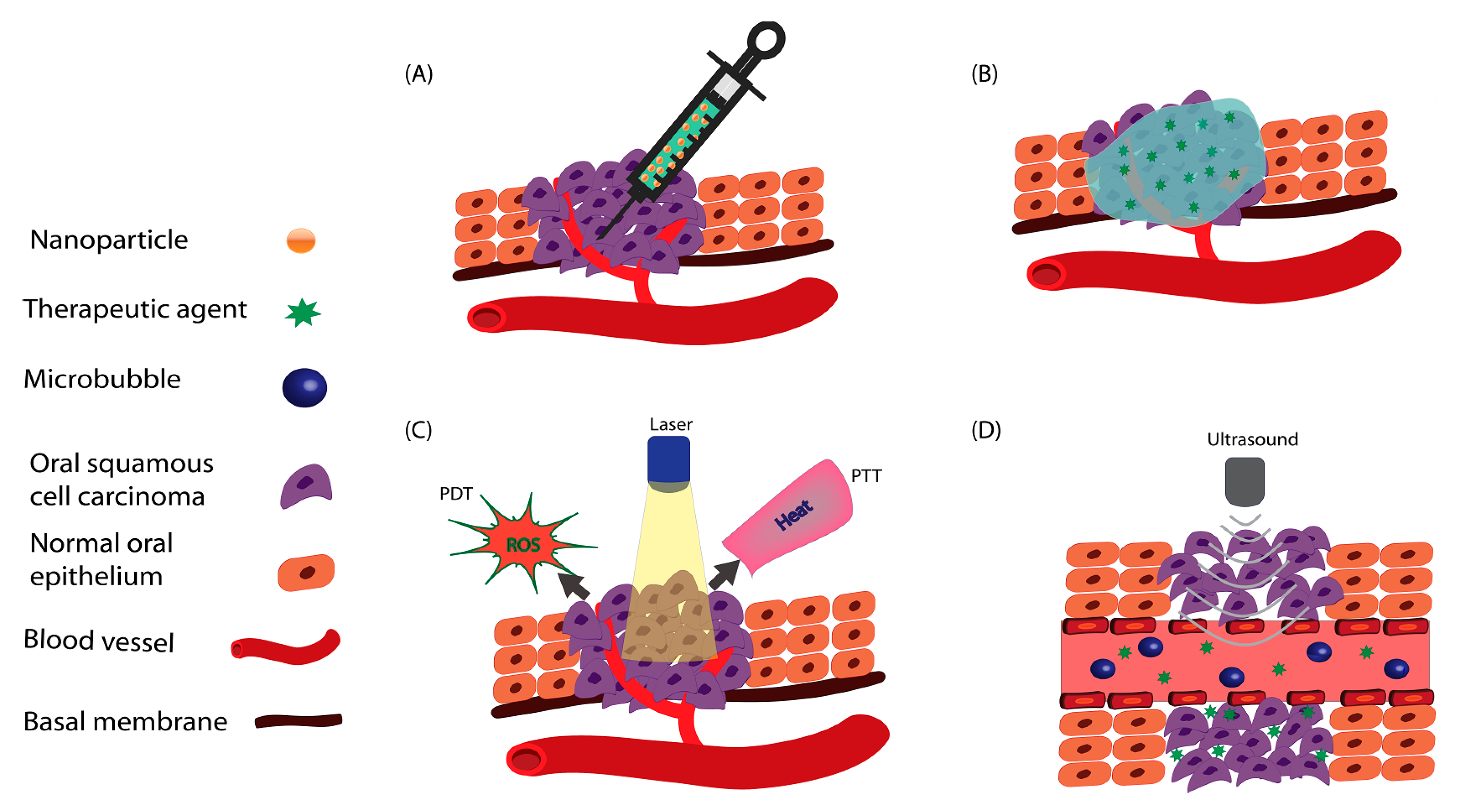 Pharmaceutics 11 00302 g002