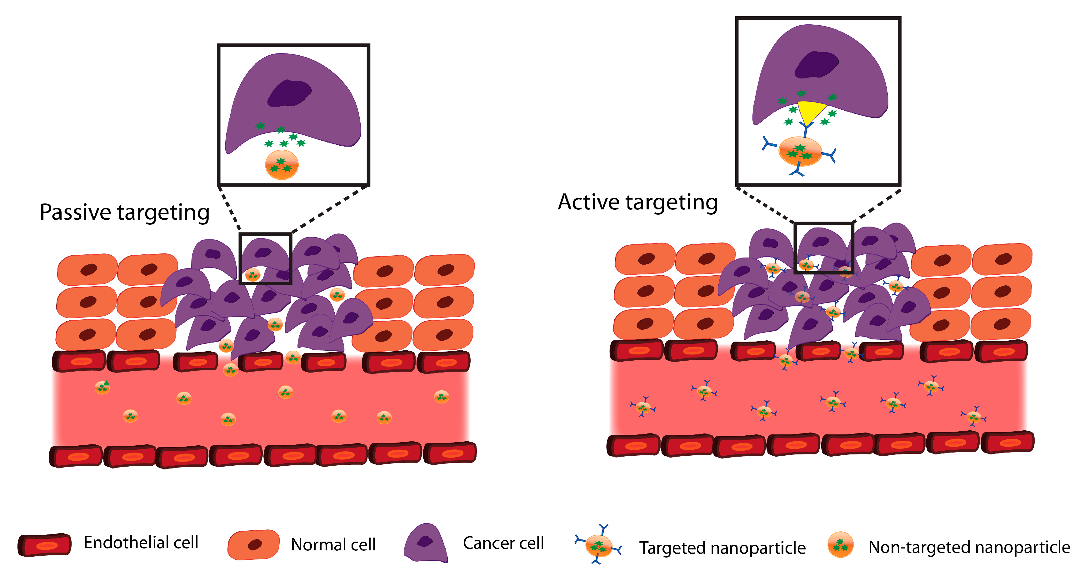 Pharmaceutics 11 00302 g003