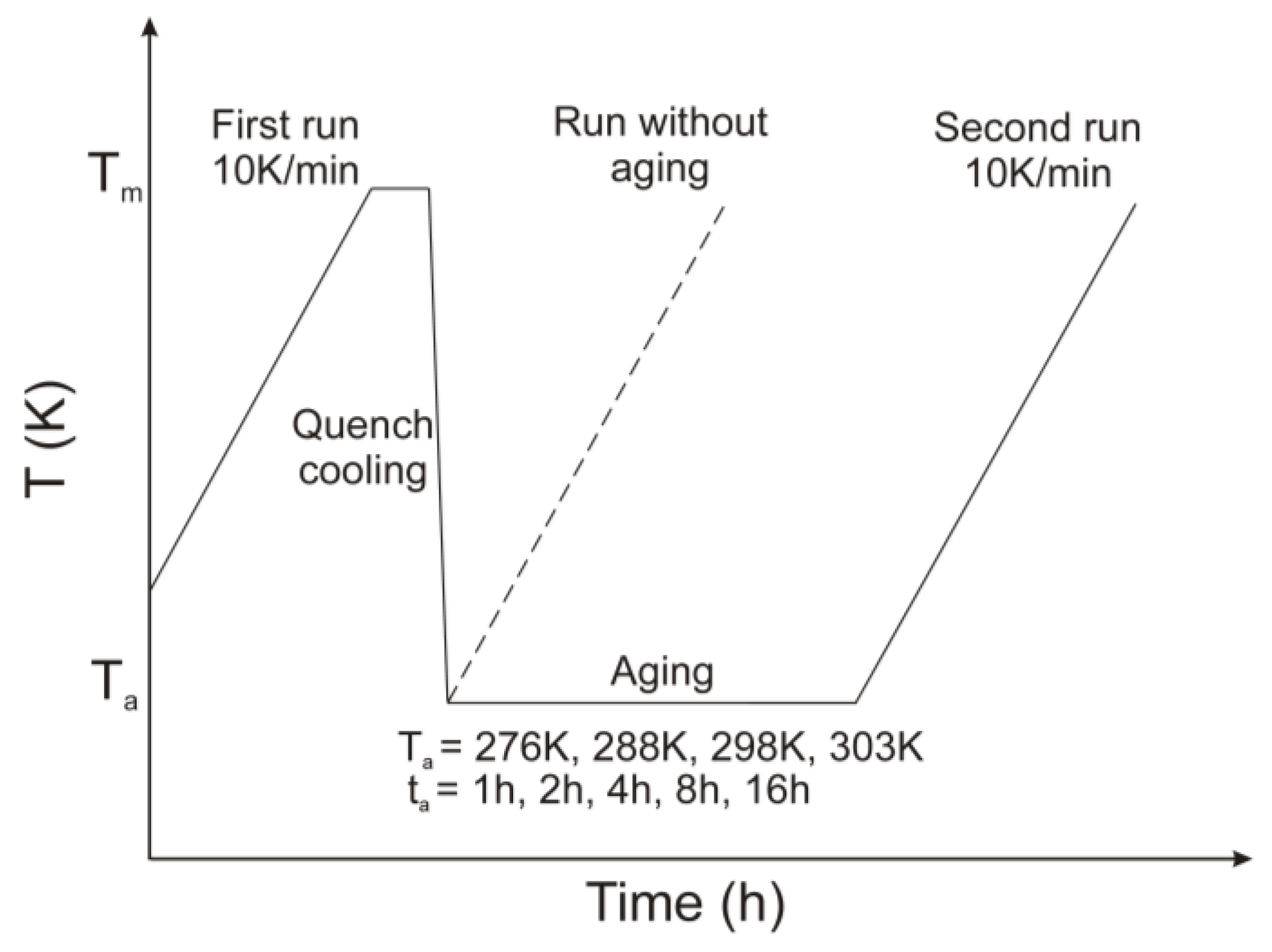 Pharmaceutics 11 00304 g002