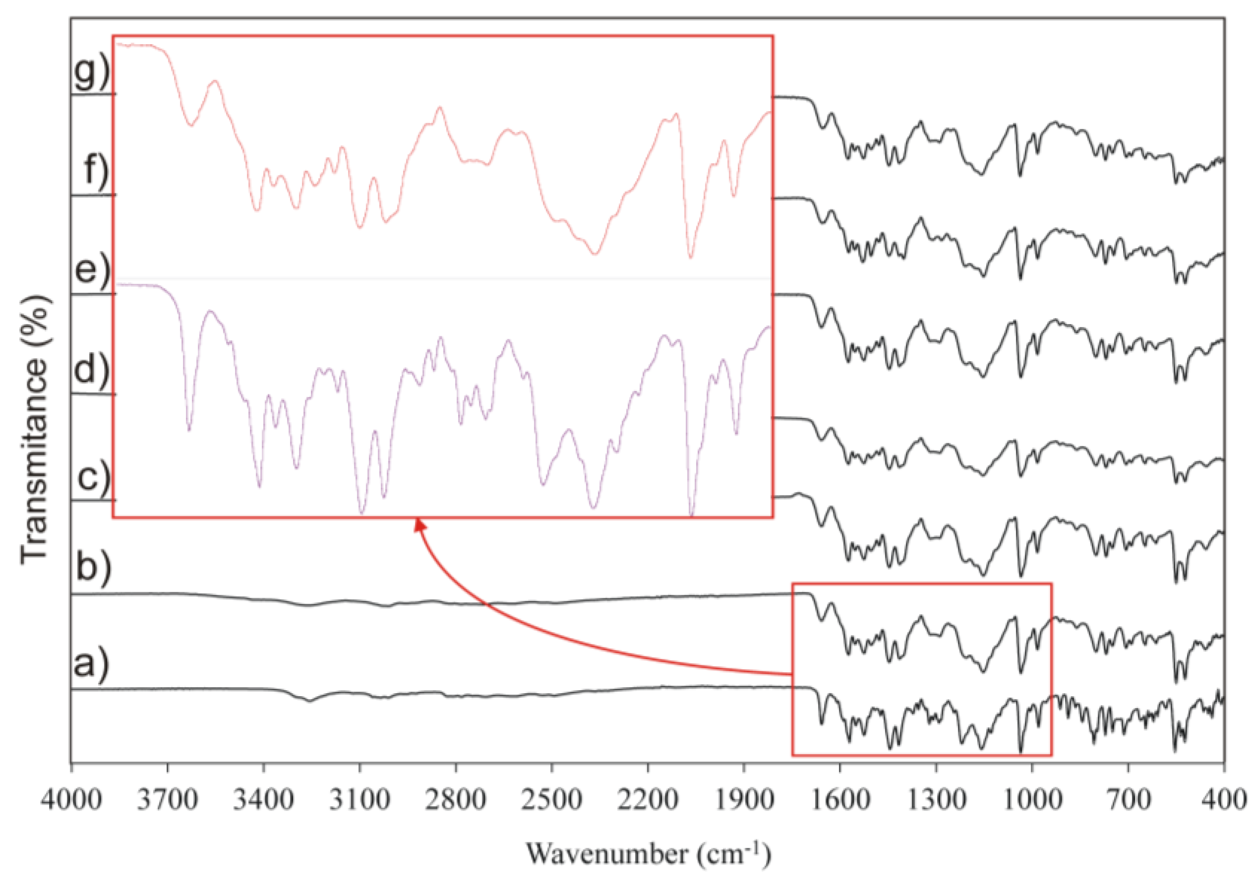 Pharmaceutics 11 00304 g007