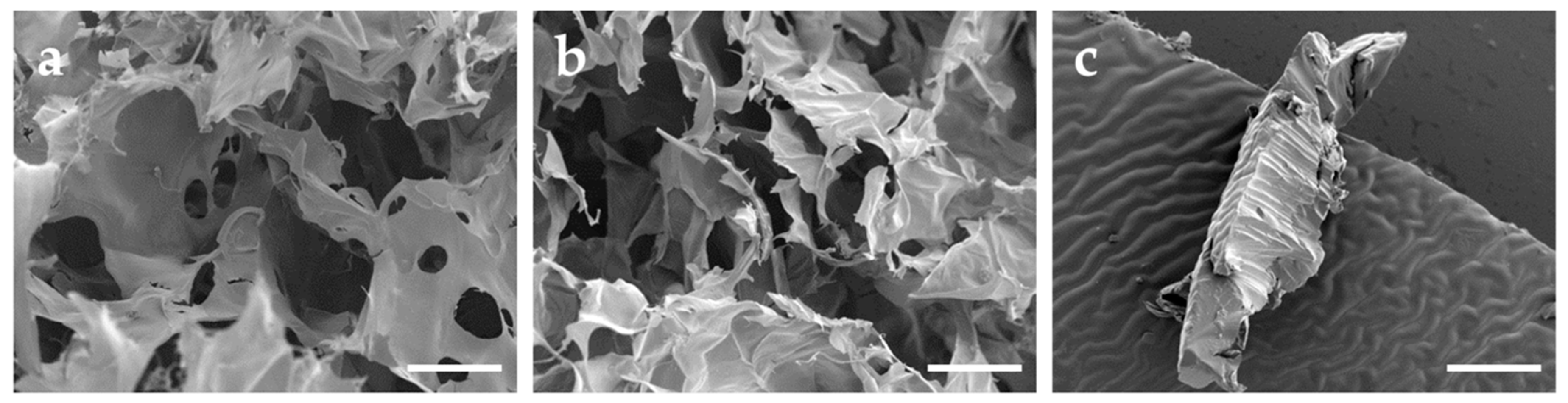 Pharmaceutics 11 00307 g003 Pharmaceutics 11 00307 g003