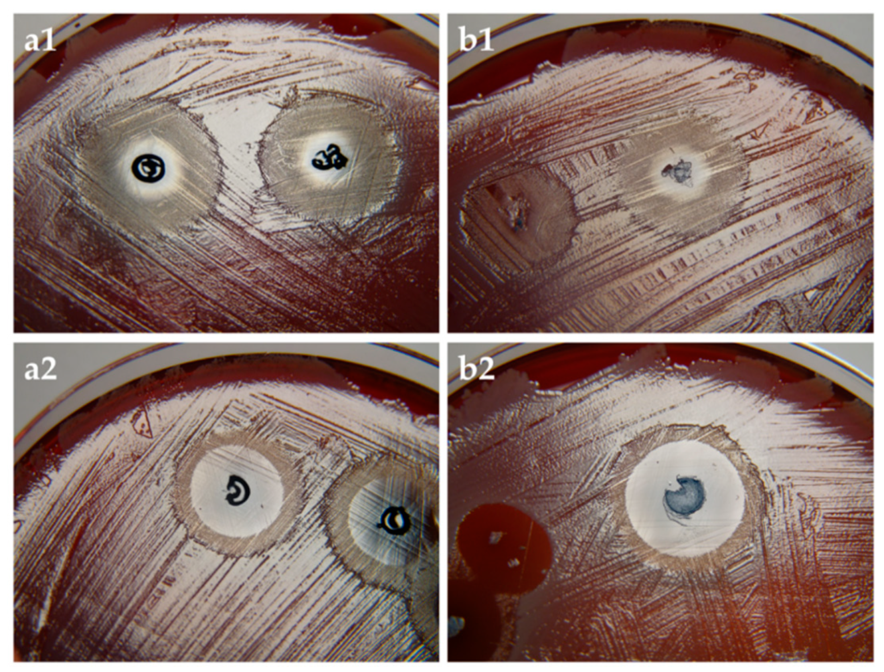 Pharmaceutics 11 00307 g006 Pharmaceutics 11 00307 g006