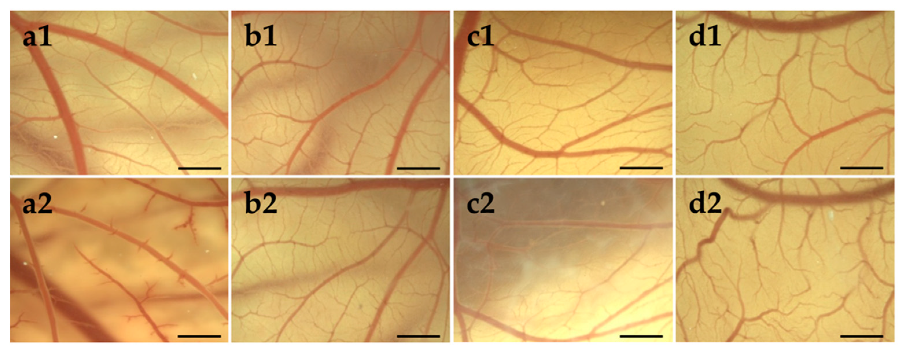 Pharmaceutics 11 00307 g007 Pharmaceutics 11 00307 g007
