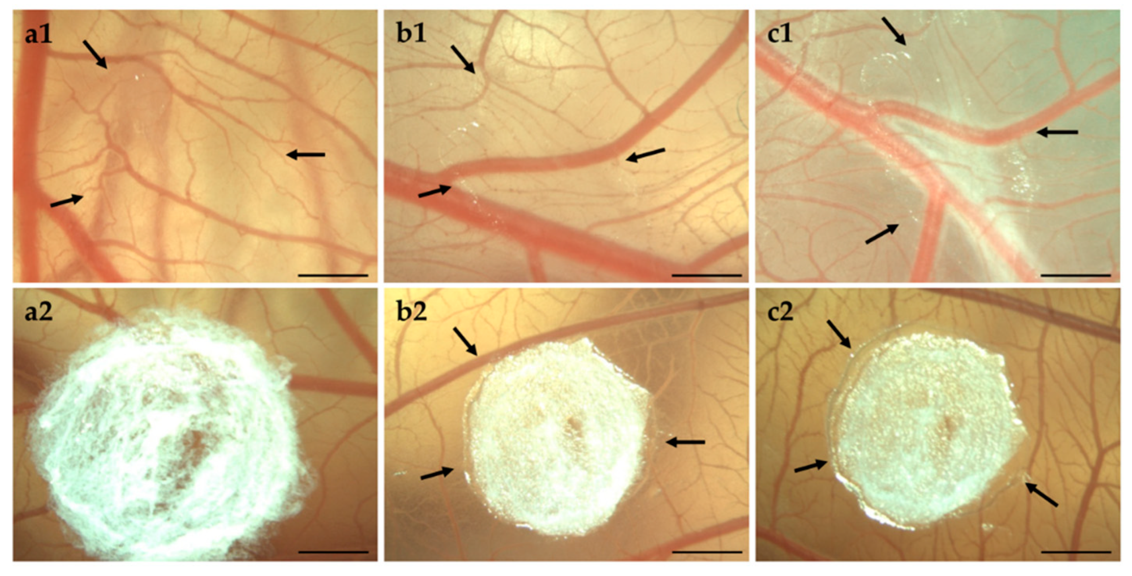 Pharmaceutics 11 00307 g008 Pharmaceutics 11 00307 g008